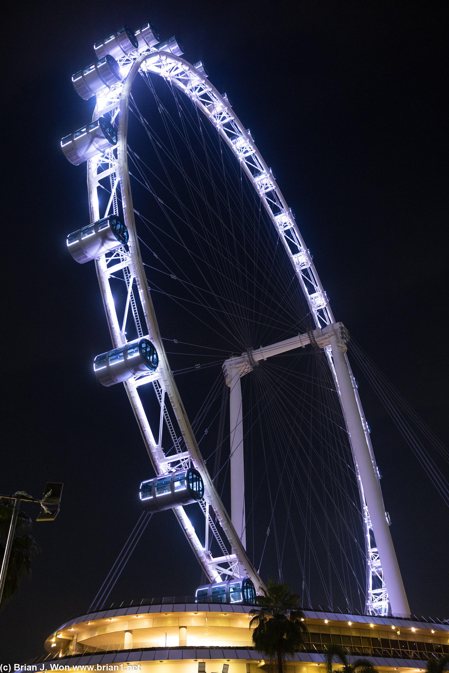 Singapore Flyer.