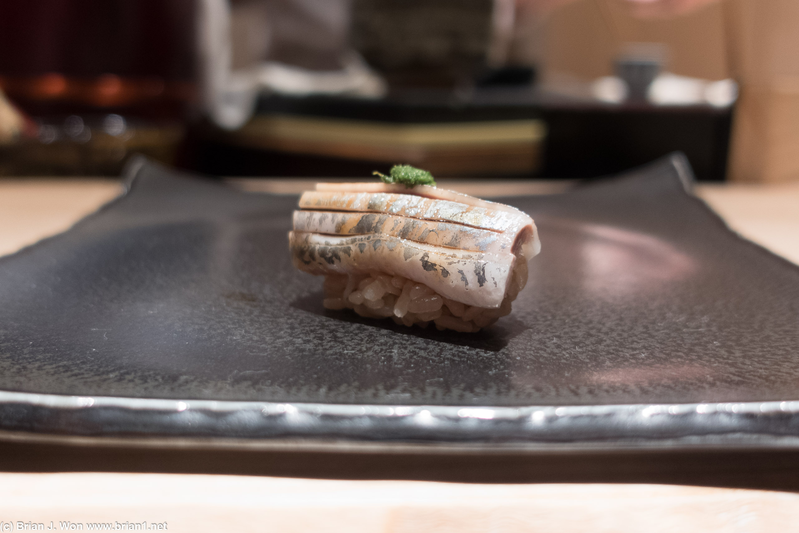 Iwashi (Japanese sardine).
