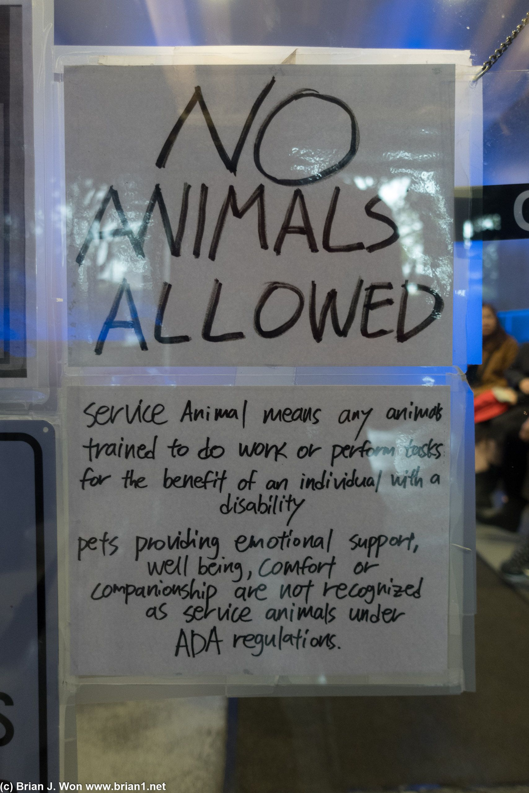 No animals allowed.