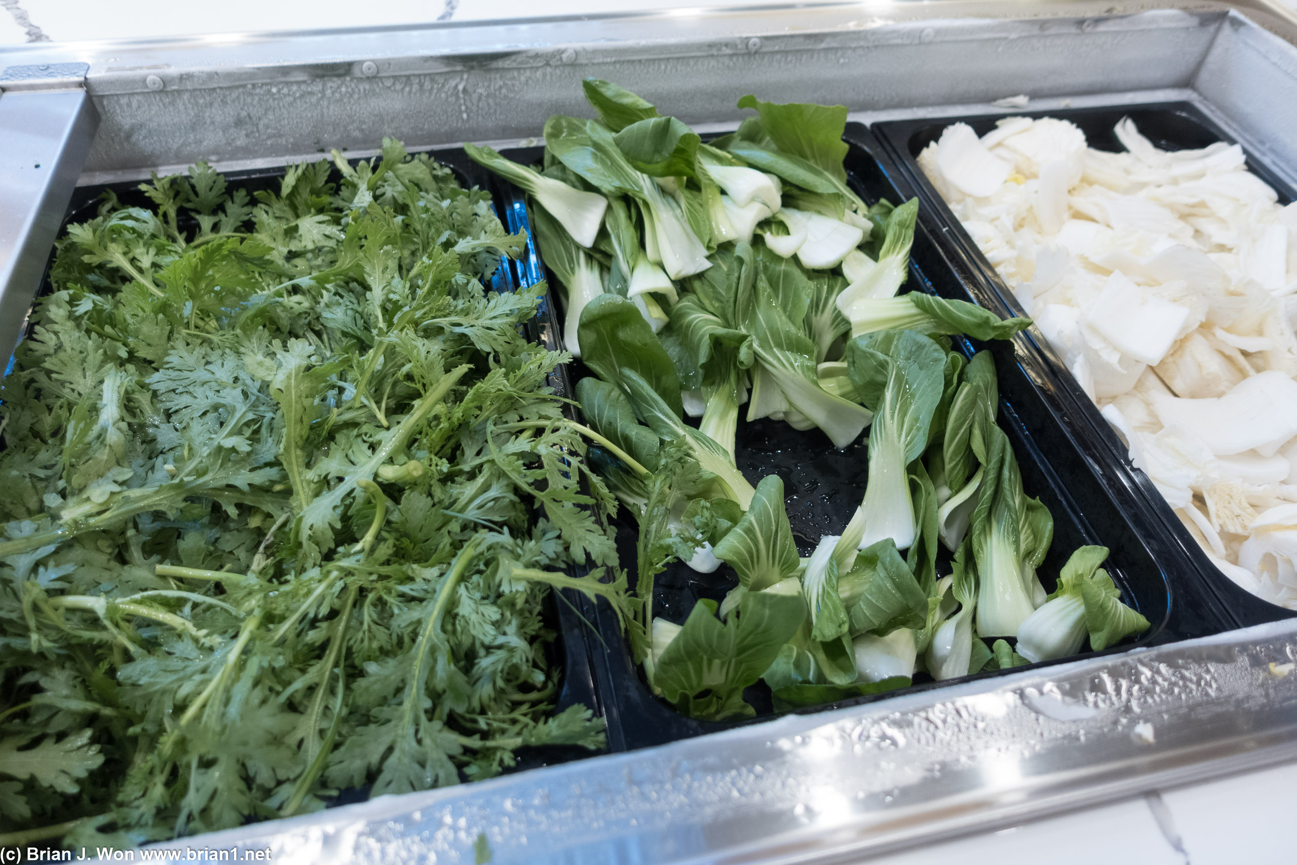 Cilantro, baby bok choy, napa cabbage.