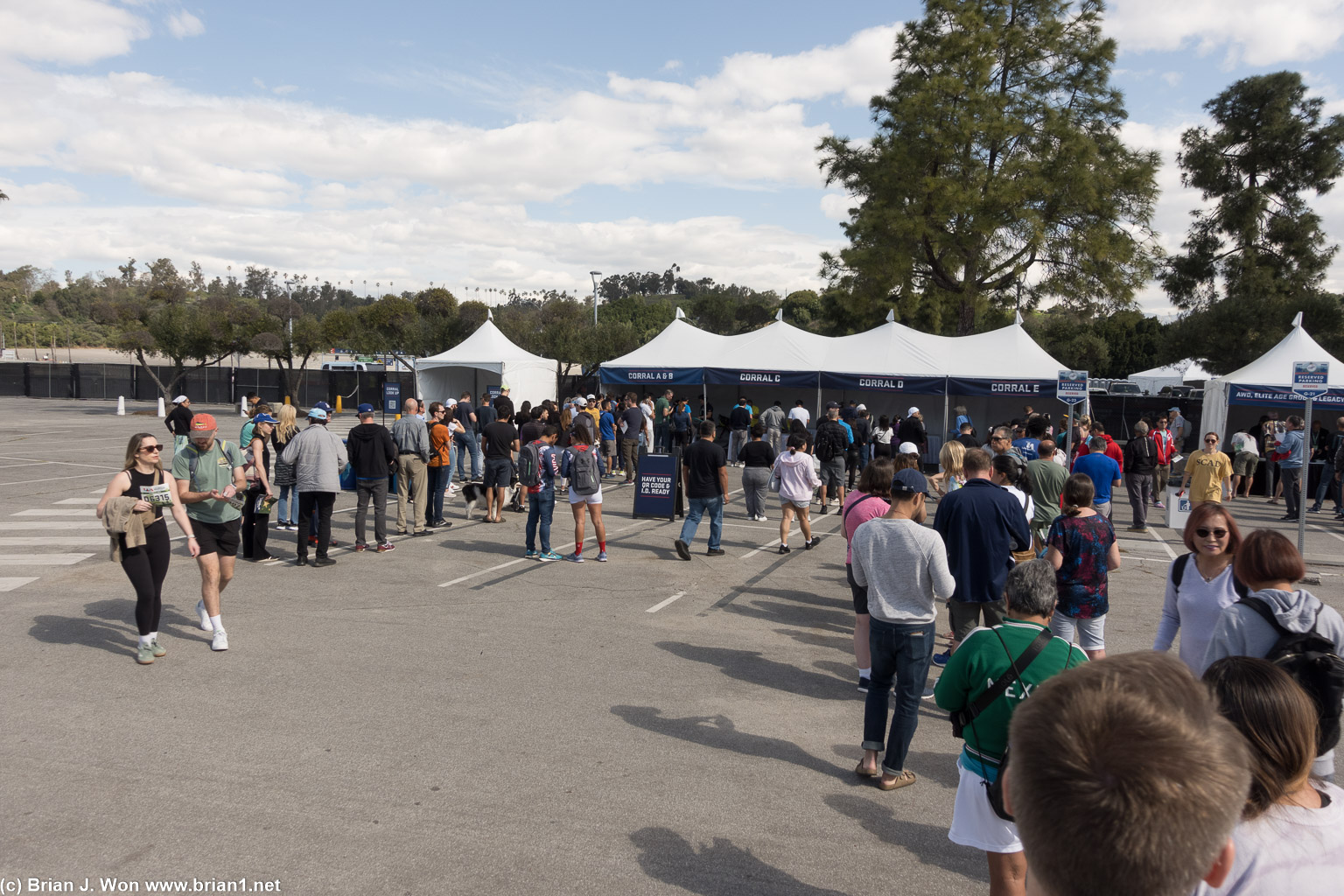 Lines for seeded corral packet pickup.