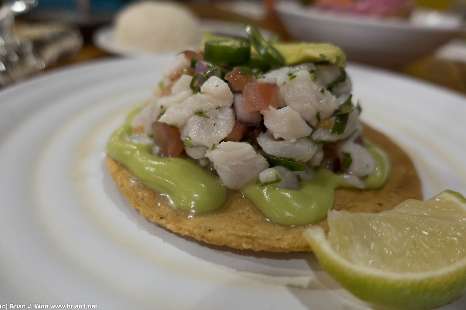 Ceviche was quite good.