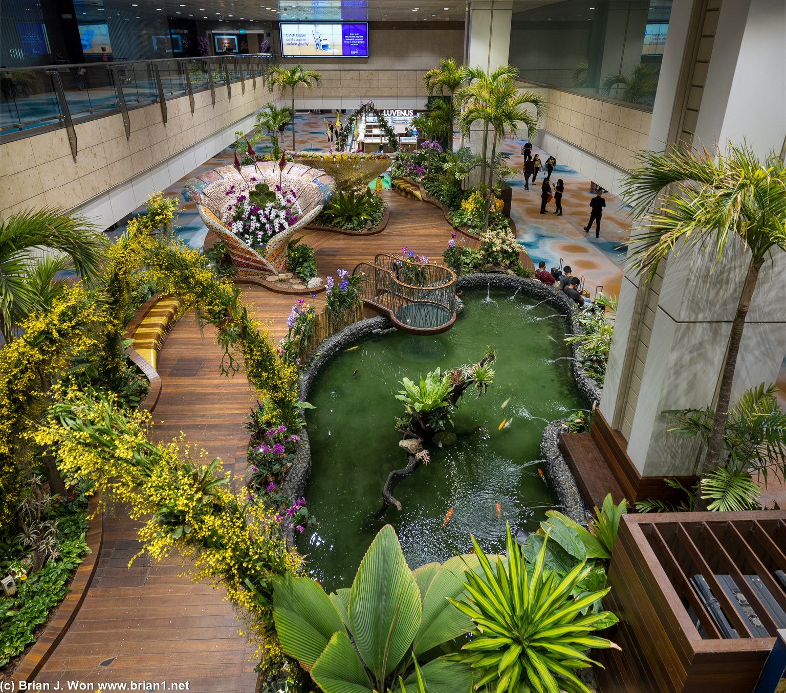 Garden inside Terminal 2 at Changi Airport.