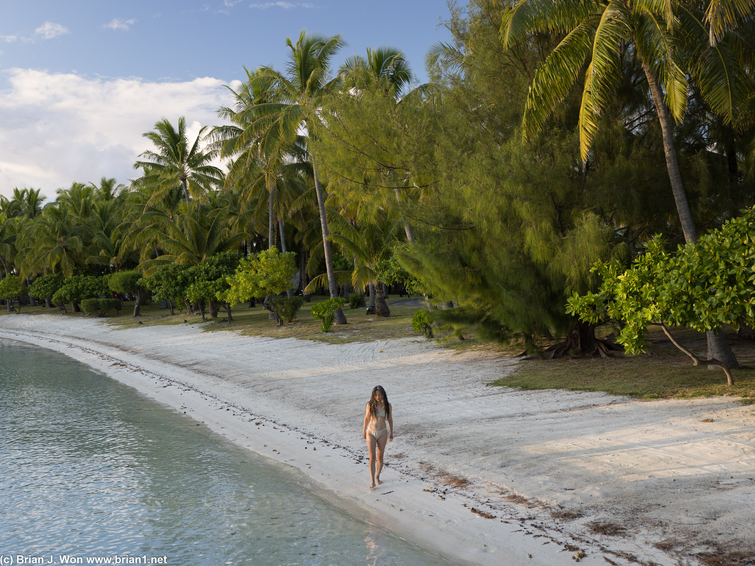 Standing at the waters' edge.