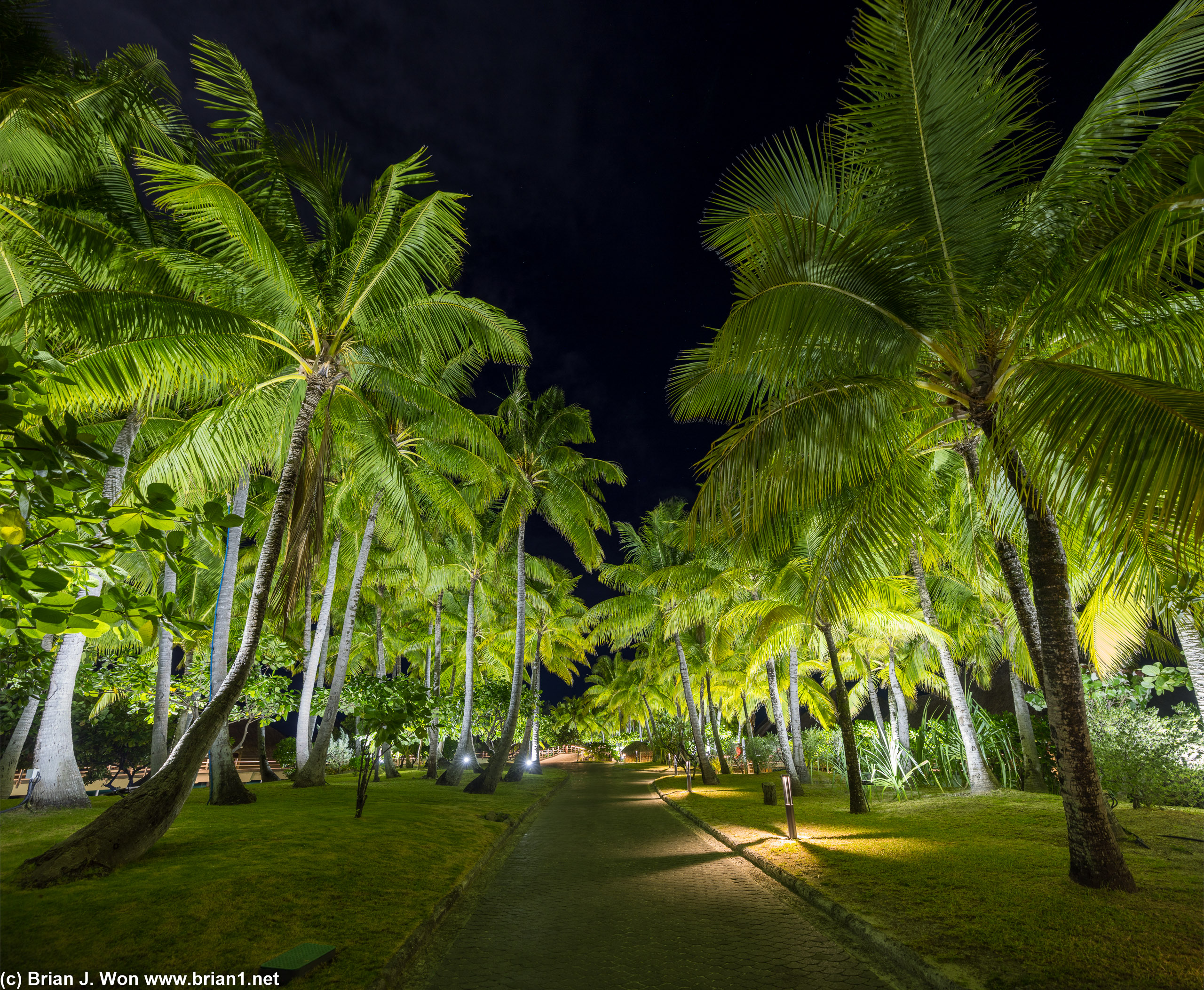 Nighttime walk.