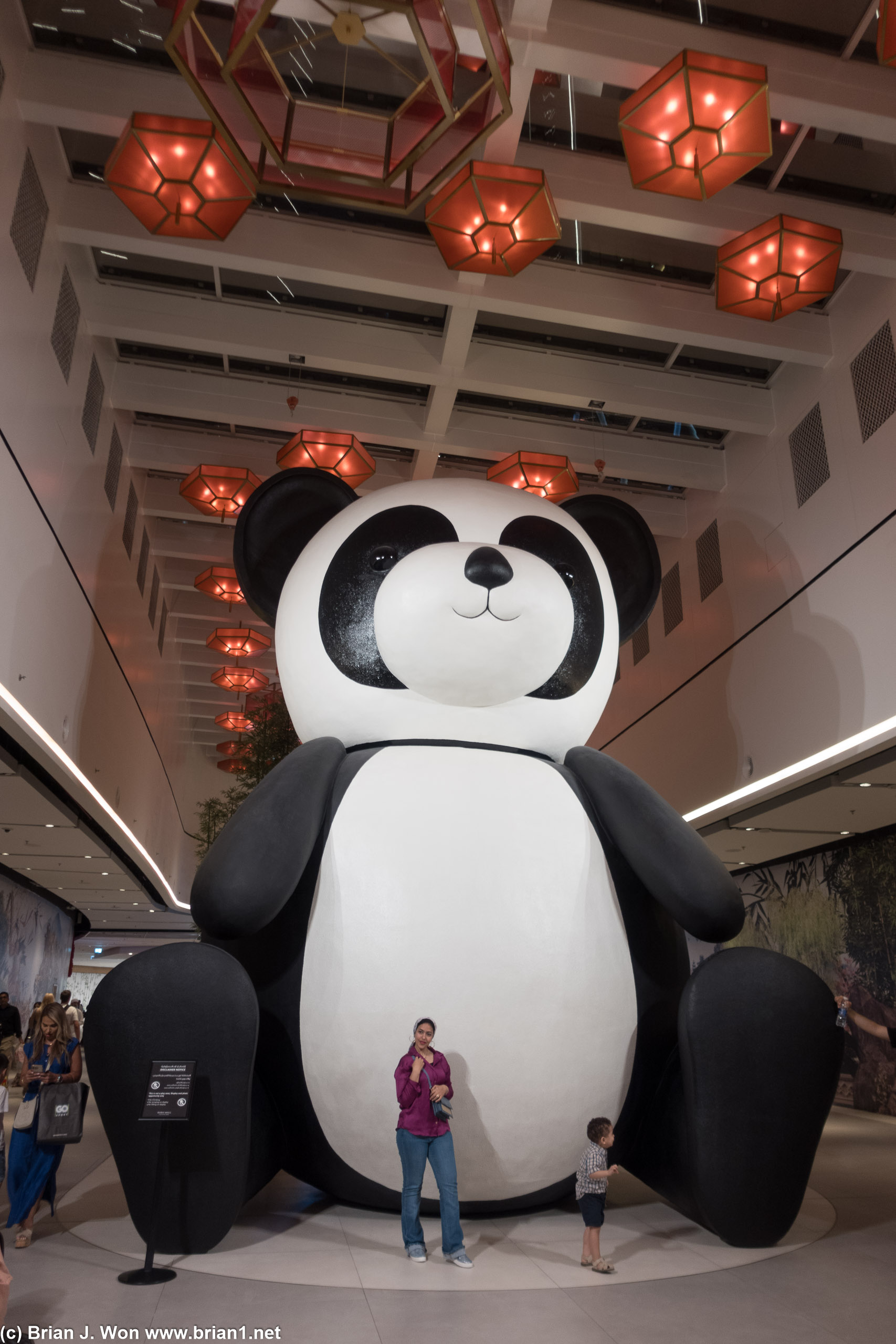 Giant panda at the Dubai Mall.