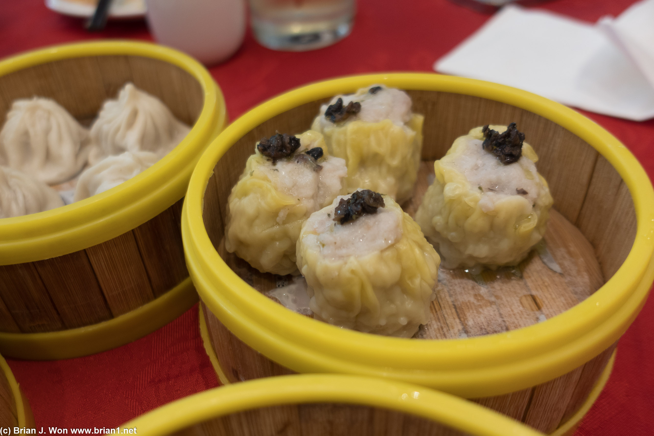 Shu mai were pretty solid, but ultimately not remarkable.