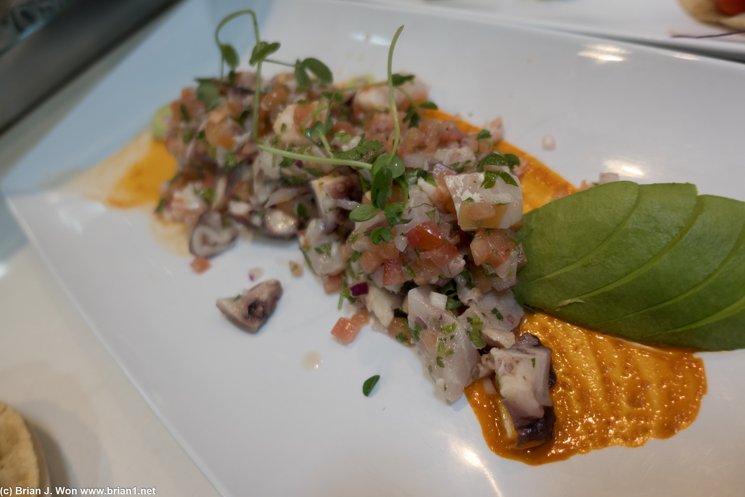 Ceviche was an ample portion.