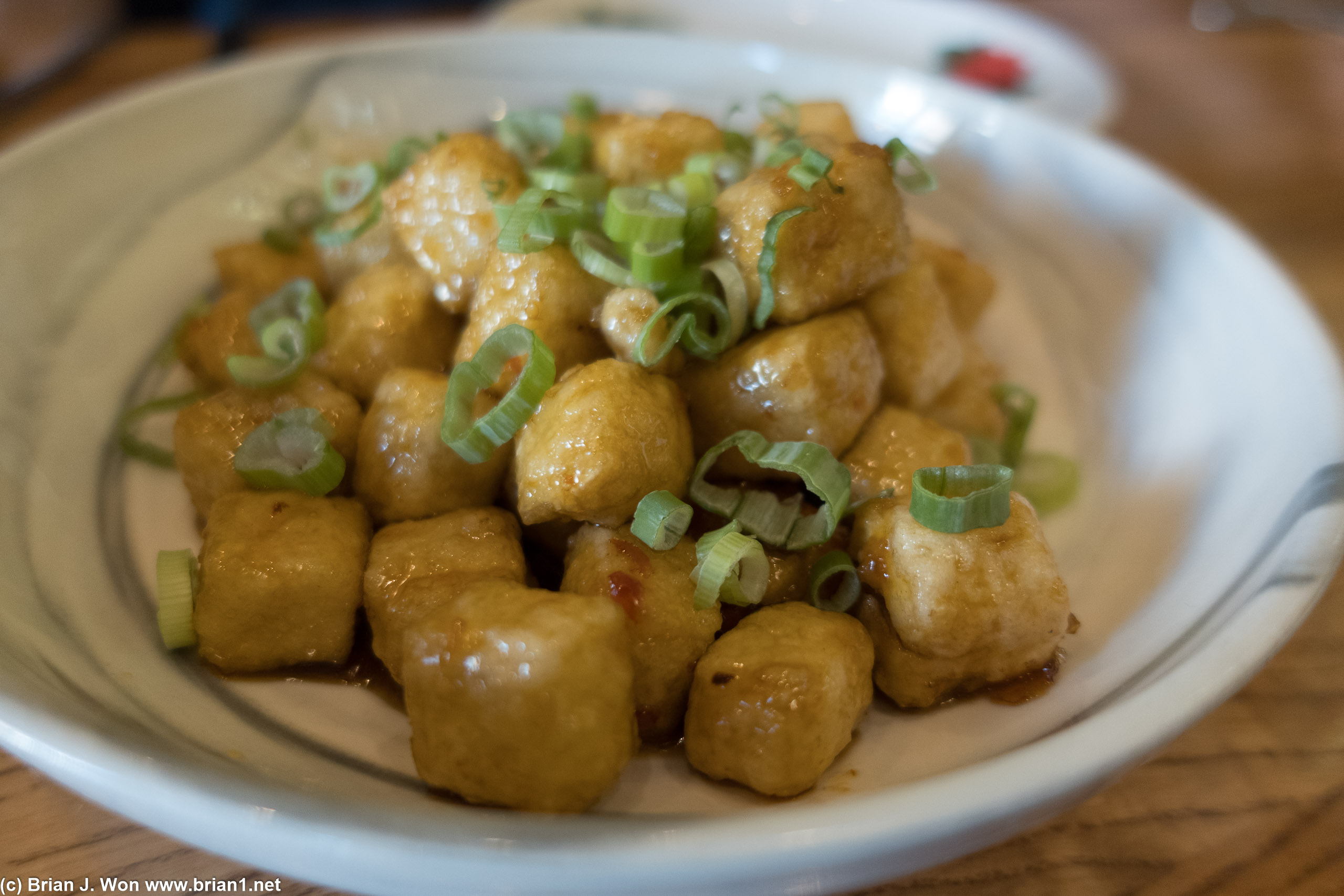 Deep fried tofu was really good yet simultaneously forgettable.