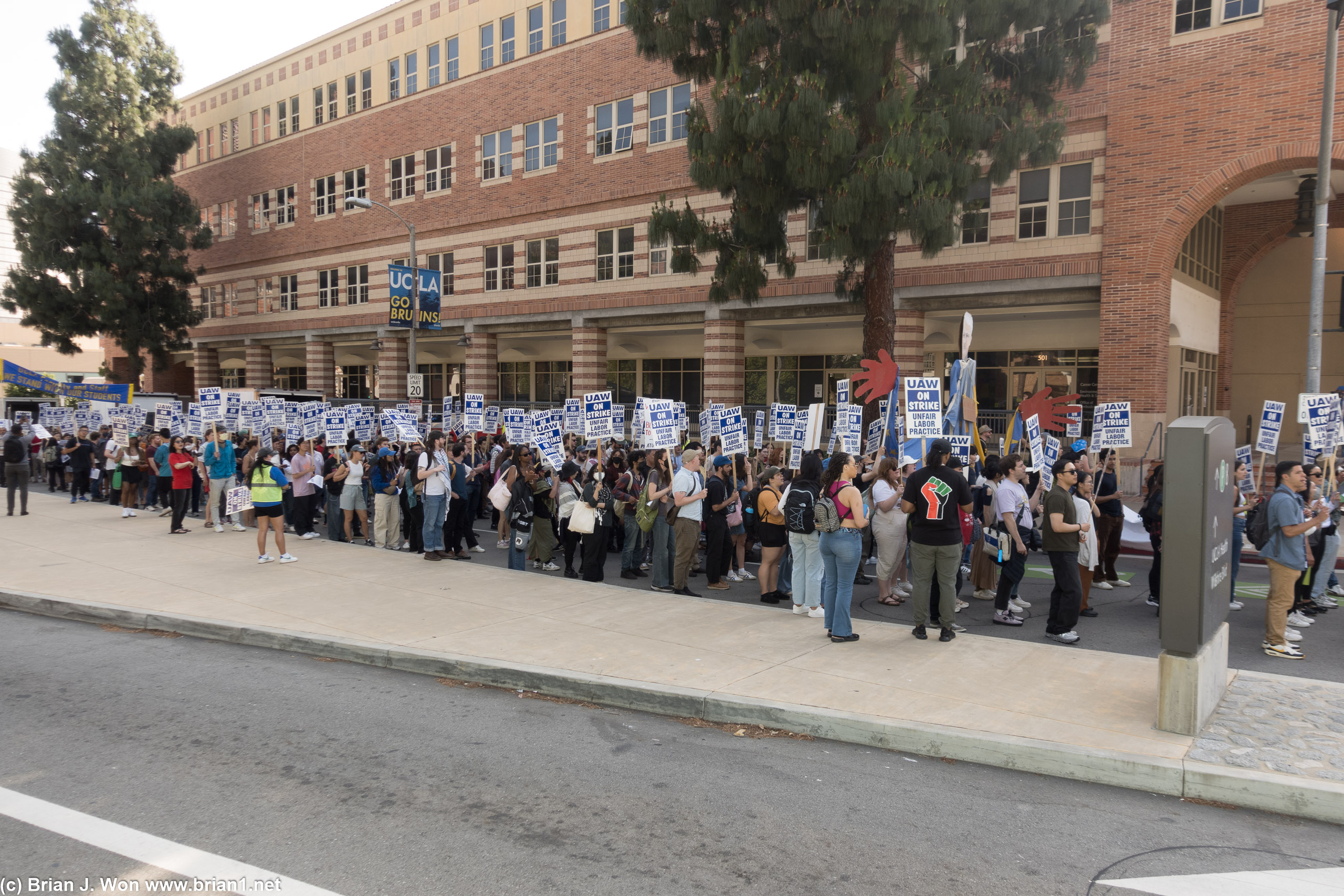 UAW protesting at UCLA, on Westwood Blvd.