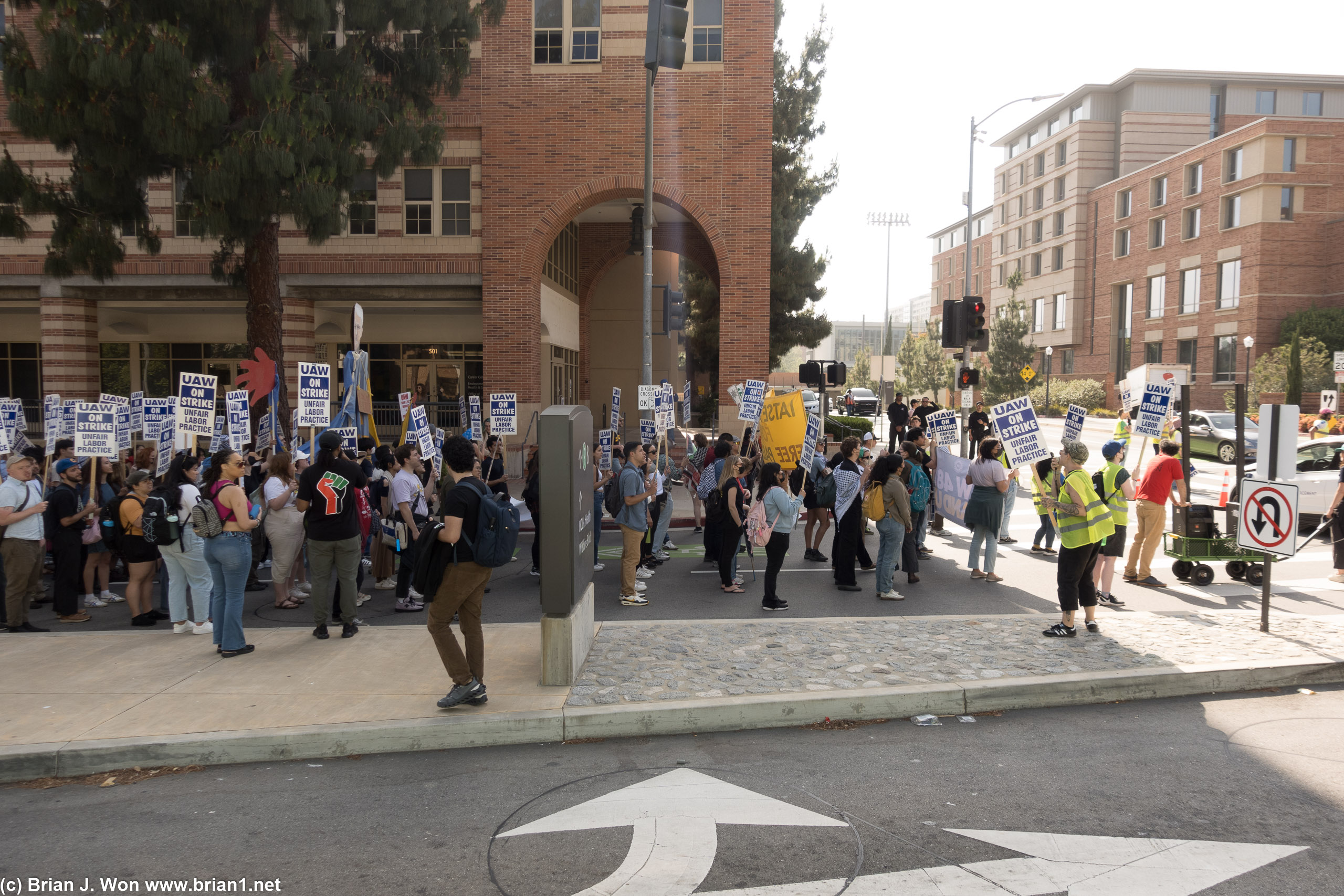 UAW protesting at UCLA, on Westwood Blvd.