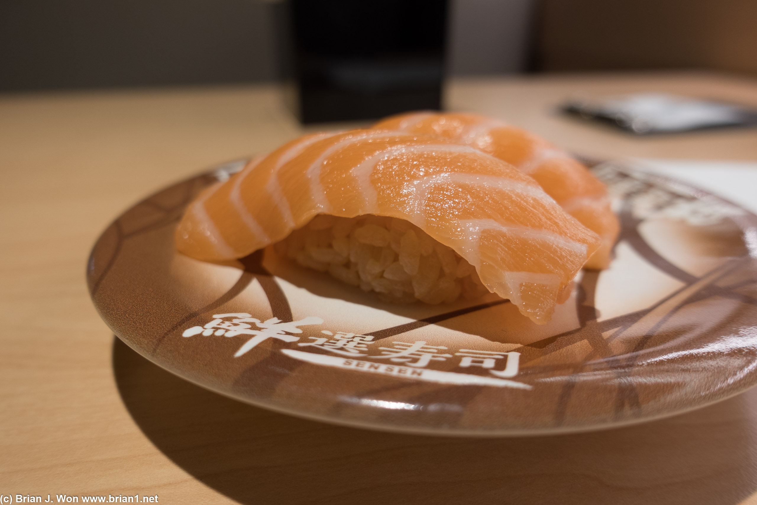 Salmon.