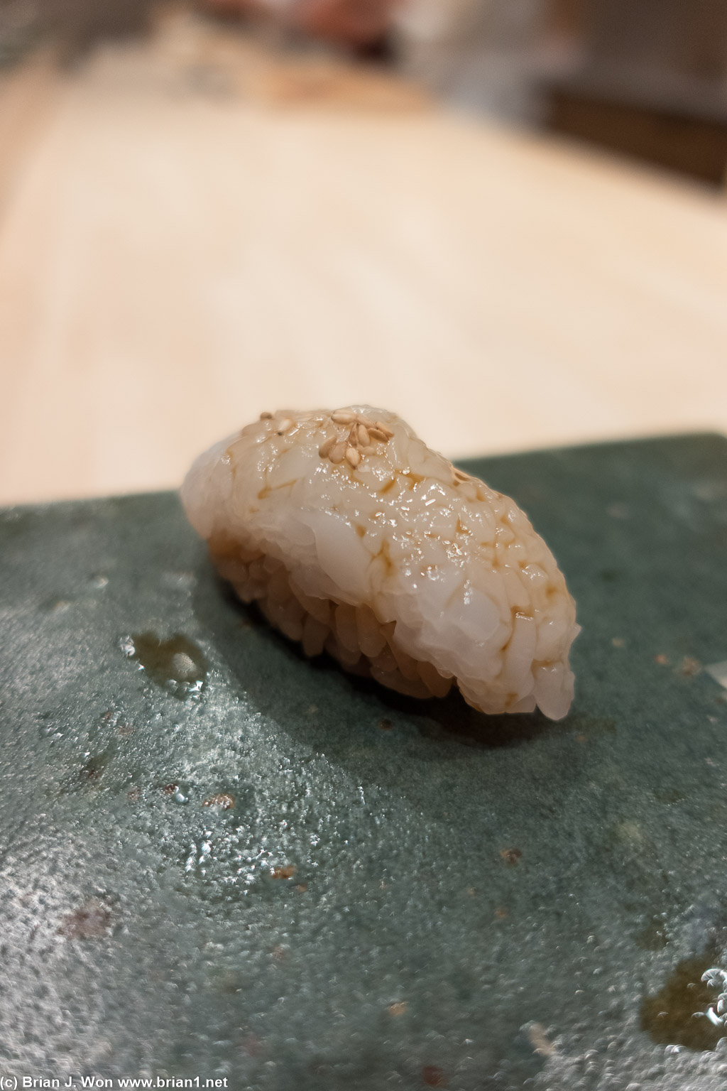 Aori ika (squid).