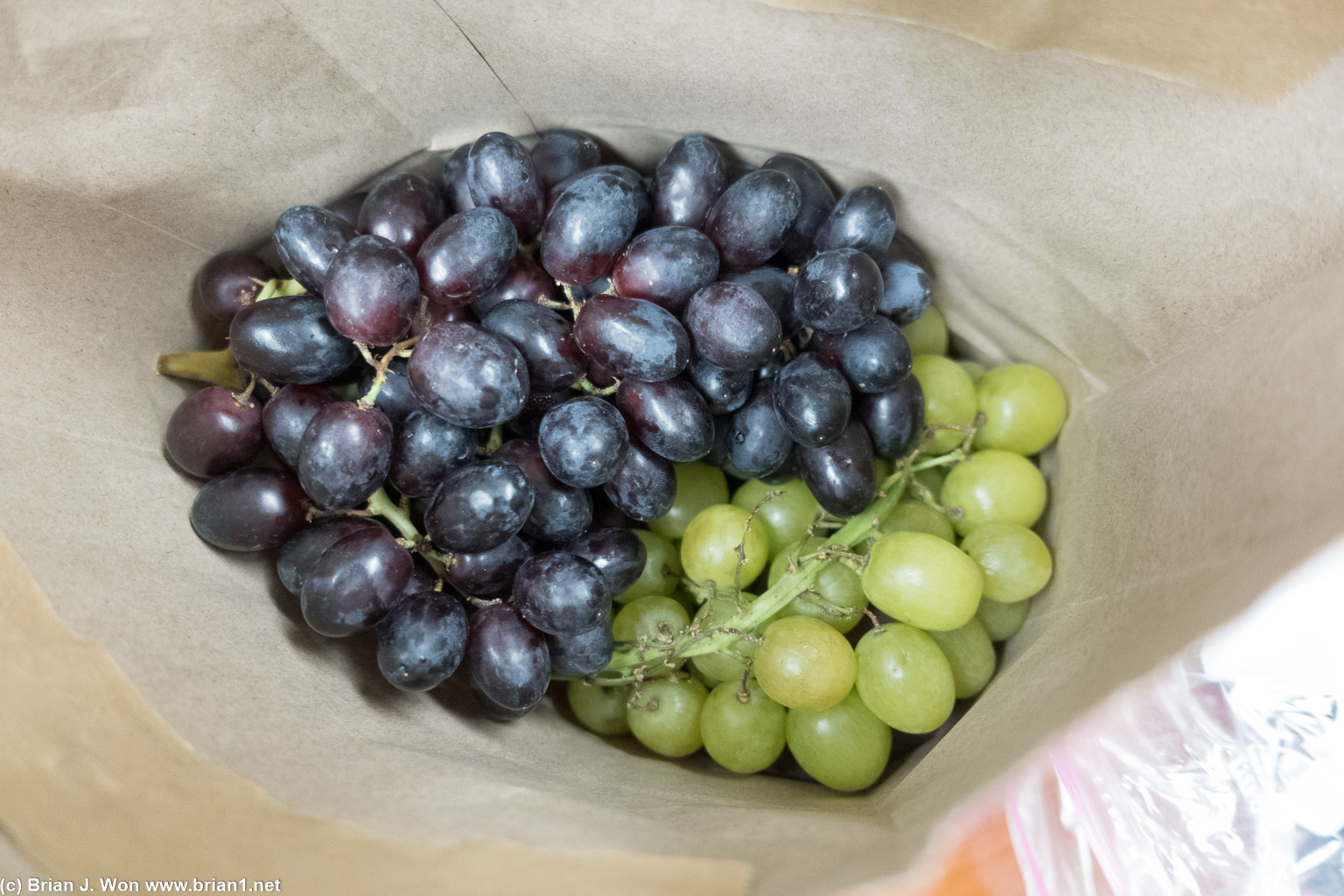 Jerry's grapes.