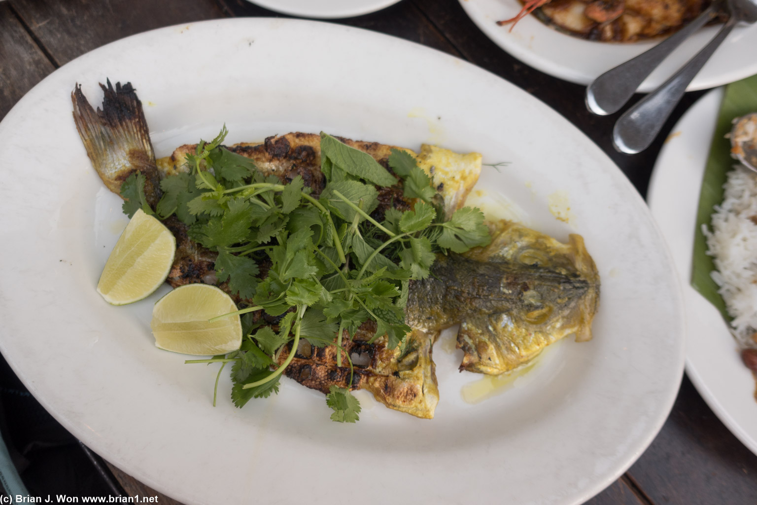 Whole fish. Good but disappointing vs. the previous iteration on the menu.