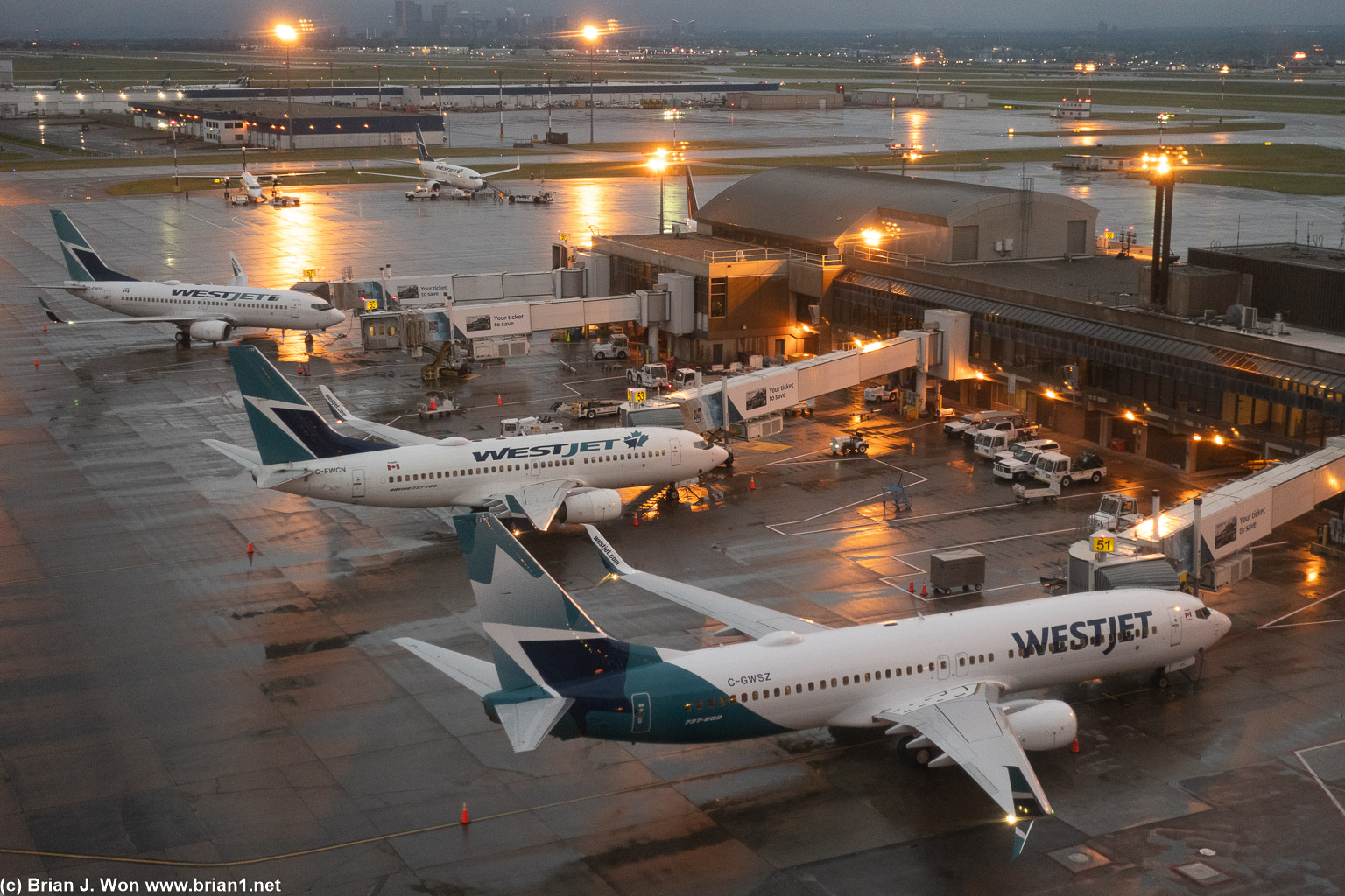 Row of Westjet Boeing 737NG's at Calgary International Airport.