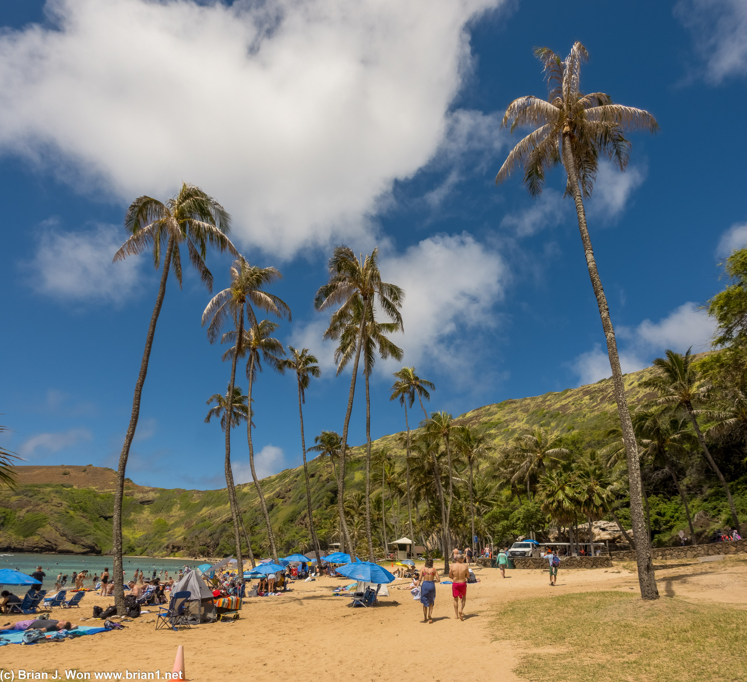 Hanauma Bay lives up to its reputation.