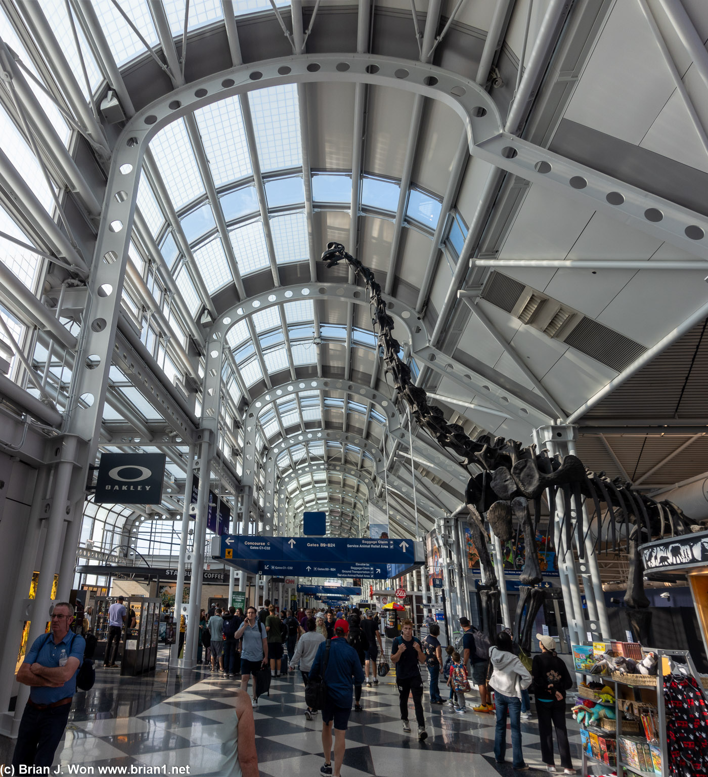 Terminal 1 at ORD. Hello brachiosaurus.