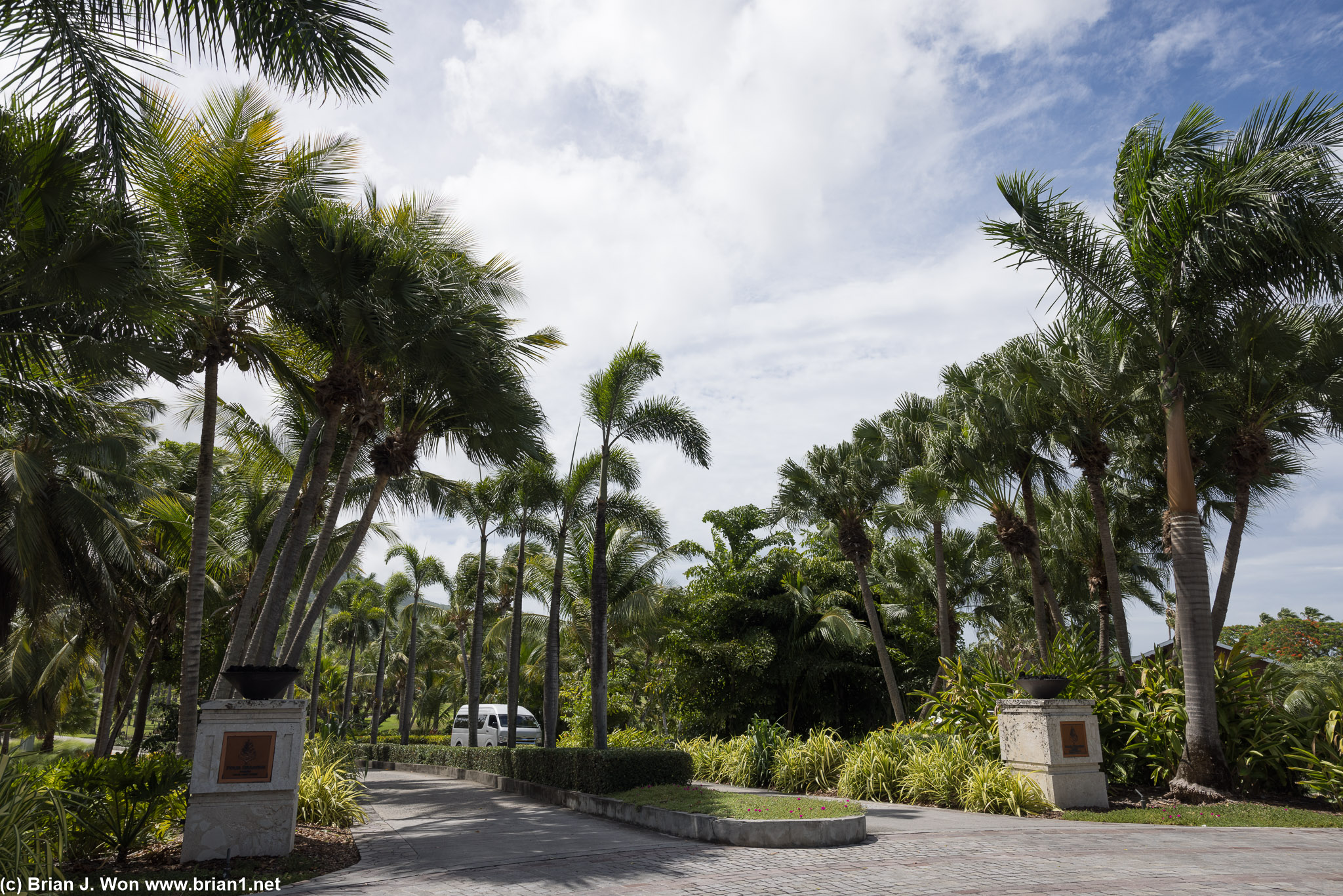 The main entrance and the driveway.