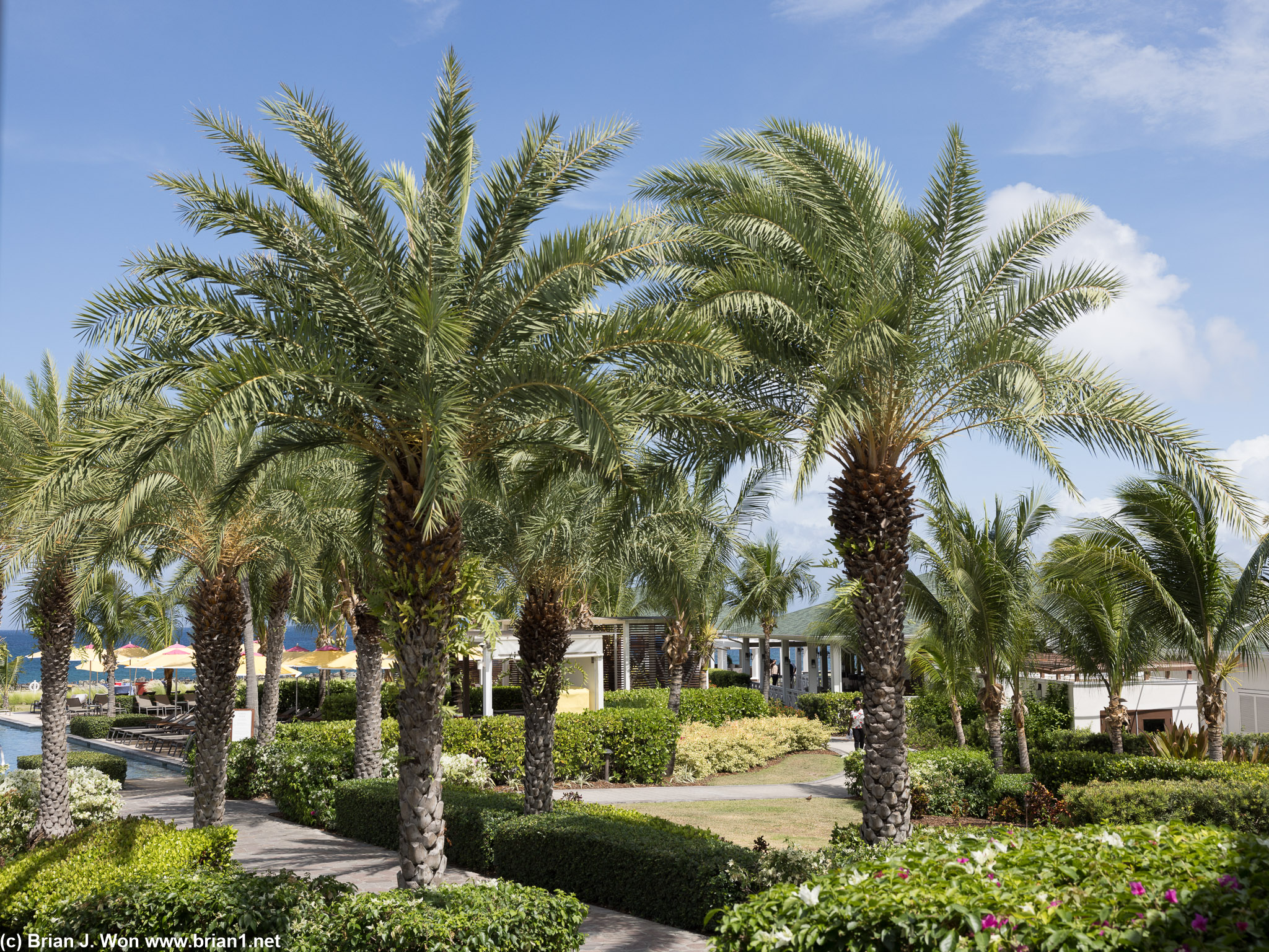 Looking towards the central pool and On The Deck.