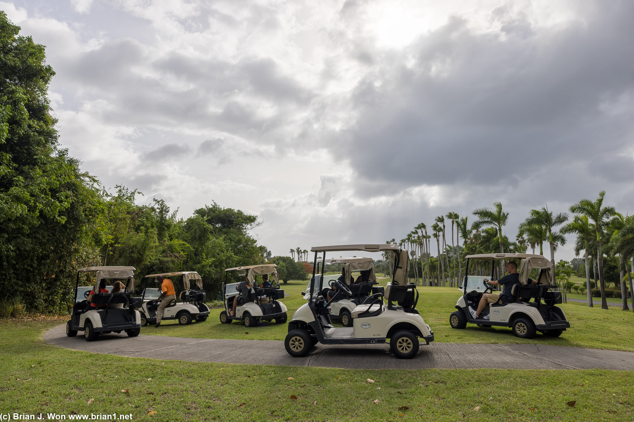 Herd of golf carts on the monkey tour.