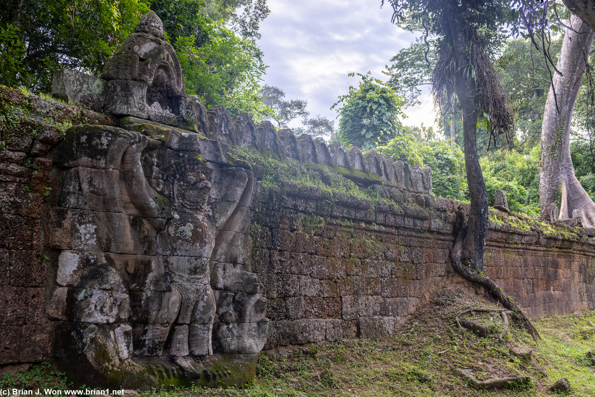 Wall garuda.