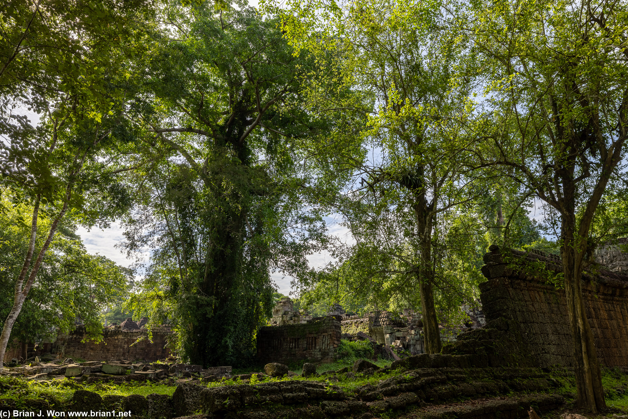 Preah Khan is quite overgrown.