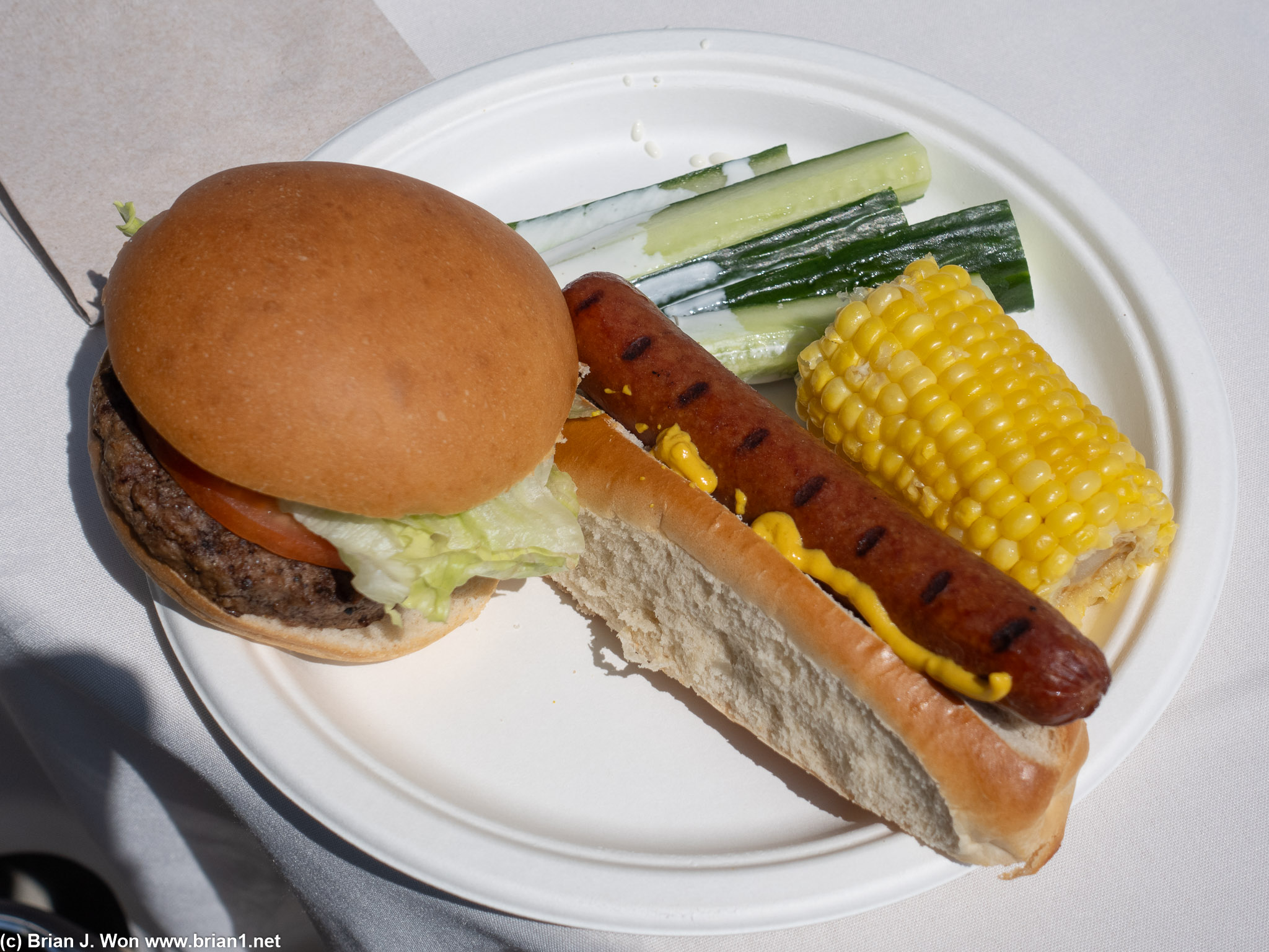 Burgers and hot dogs.