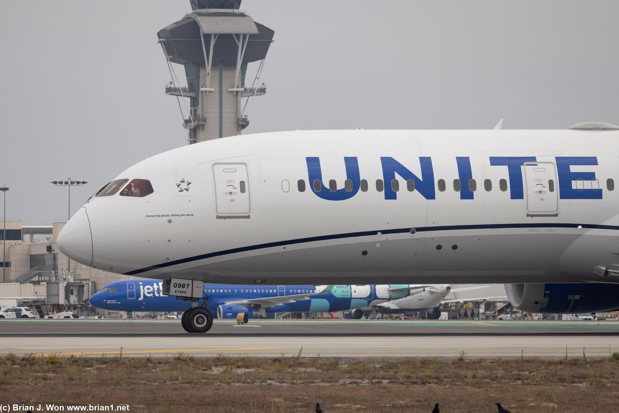 United 787-9 taxiing to the gate.