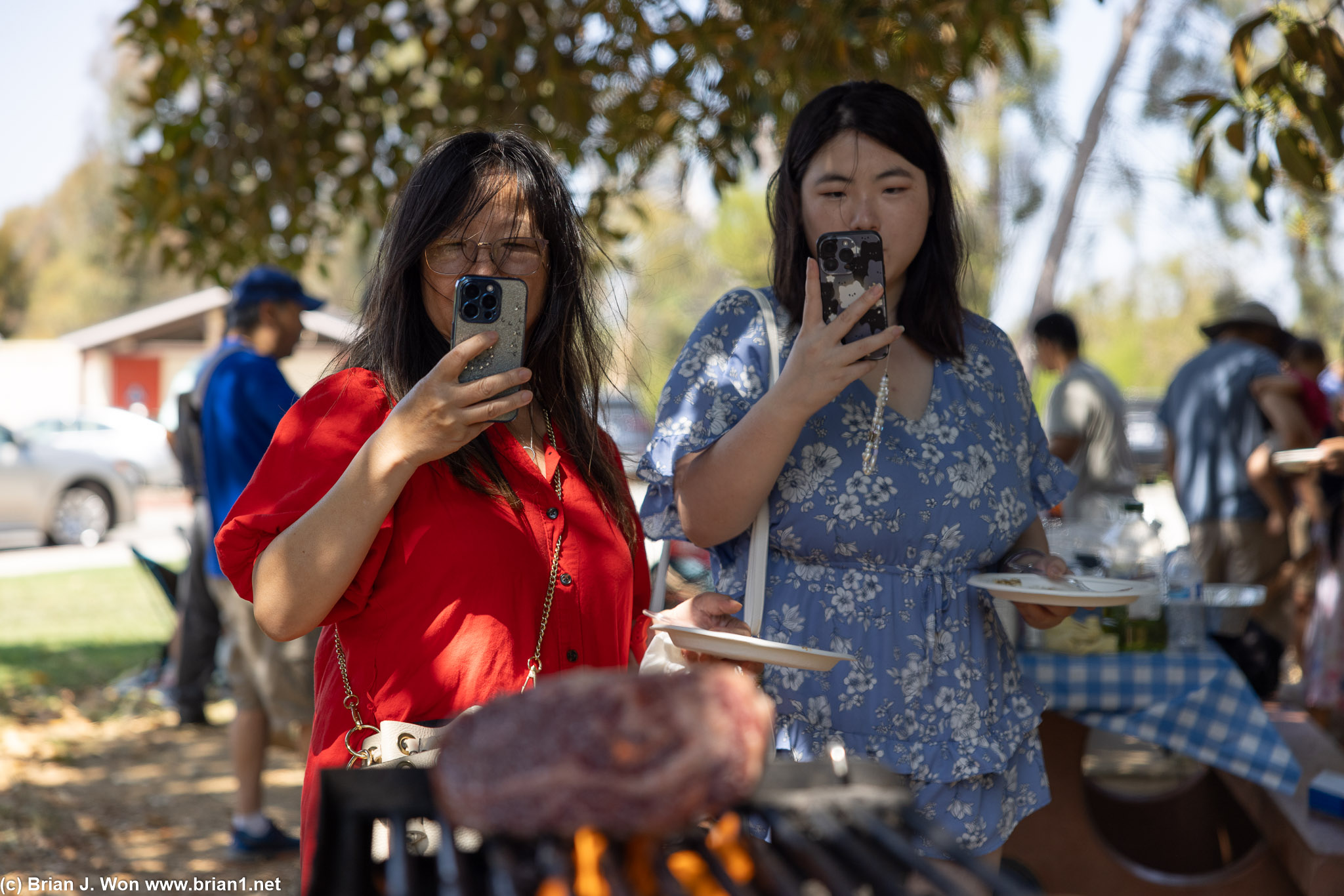 The Chen family is entranced.