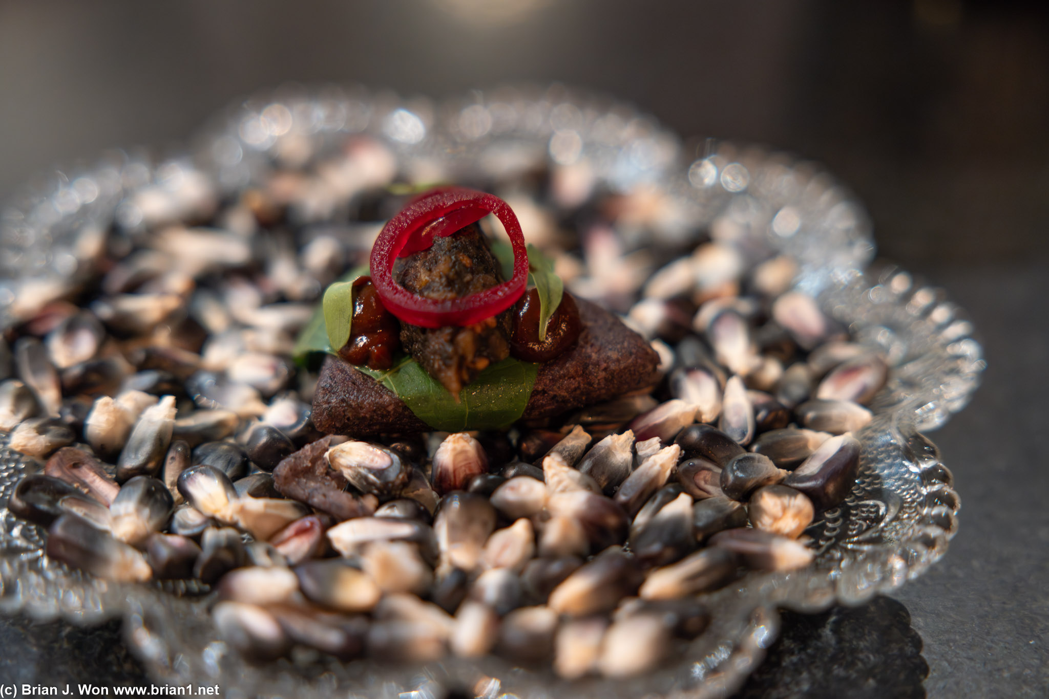 Duck confit tetela (blue corn tortilla).