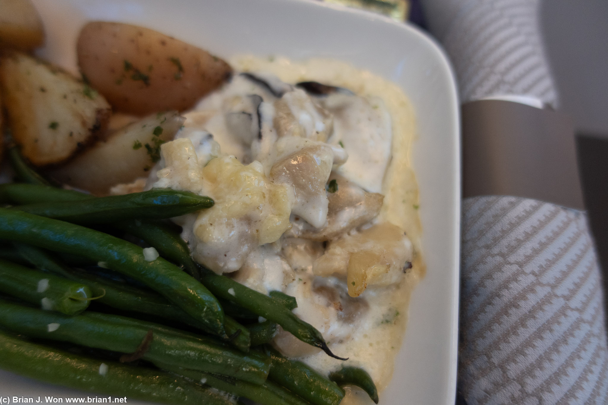 Surprisingly edible. Chicken in cream sauce?