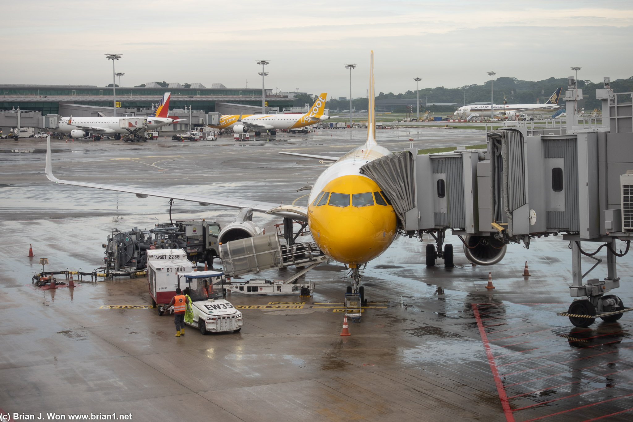 Scoot uses a shiny new Airbus A320neo for this morning's flight.