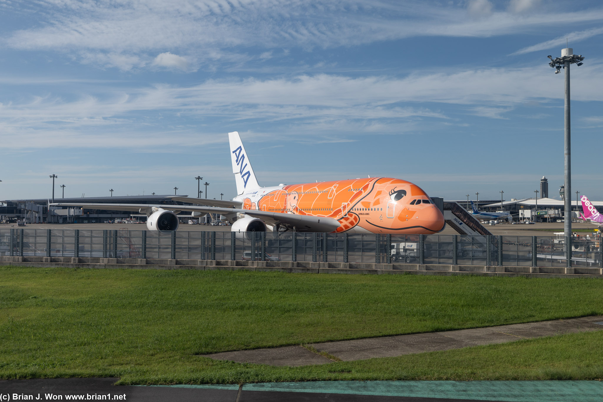 One of ANA's high-density Airbus A380's for Hawaii flights.