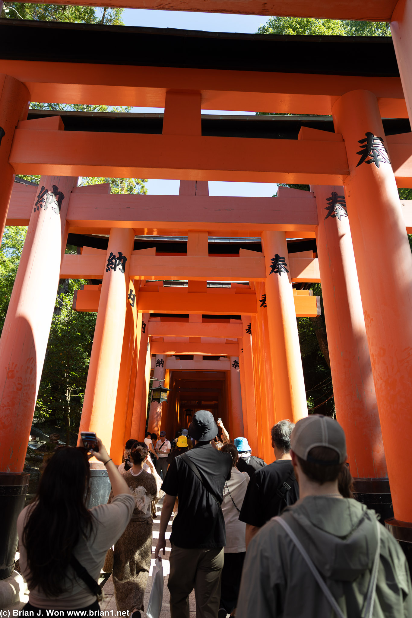 The start of Fushimi Inara Taisha's thousand gates.