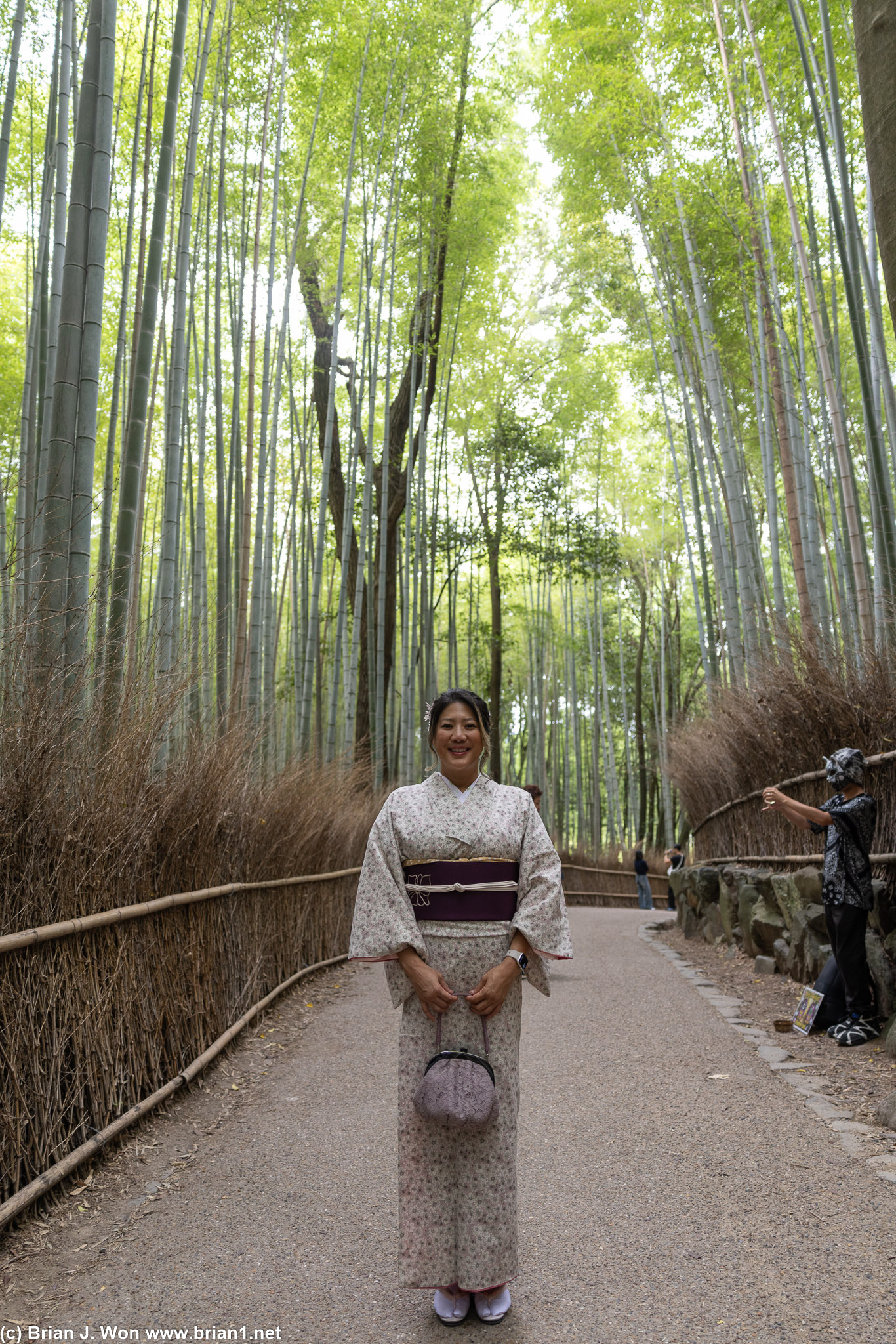 Arashiyama Bamboo Forest.