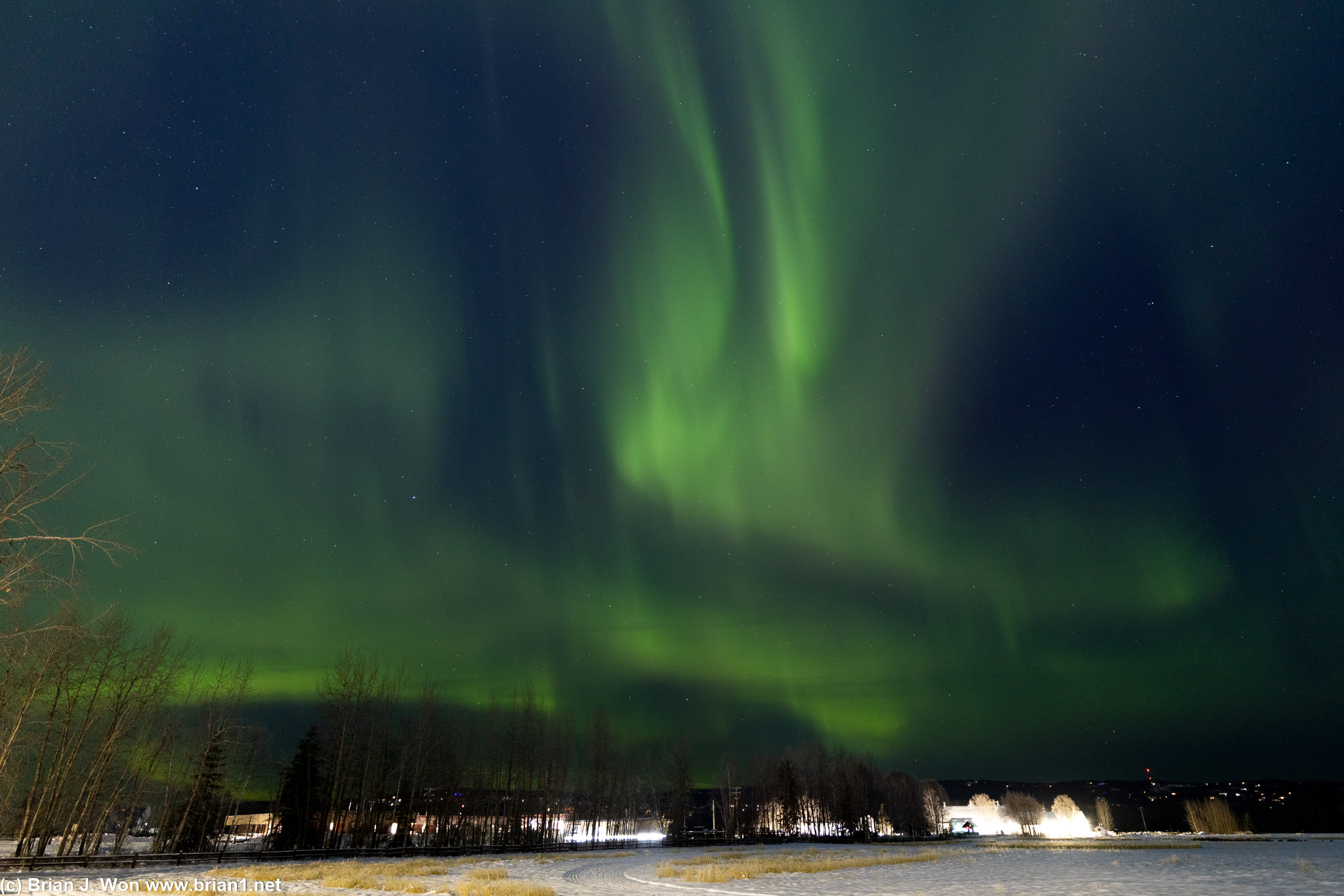 Caught the aurora borealis from the northern edge of Fairbanks.