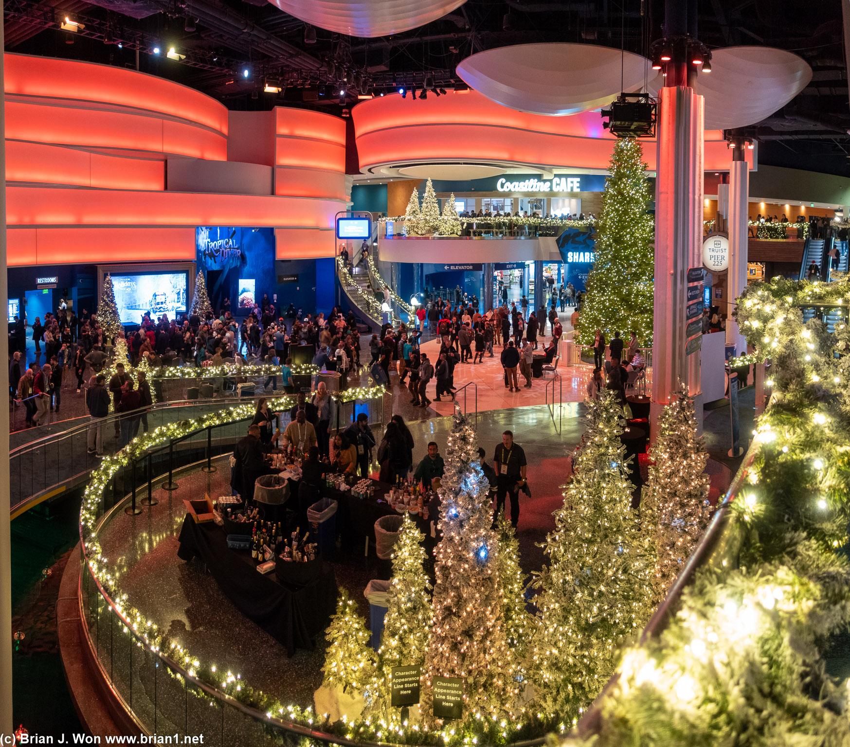 Georgia Aquarium fully done up for Christmas.