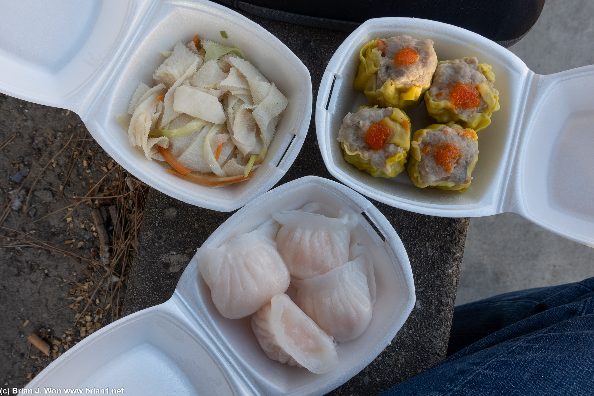 Ngau paak yip (beef tripe) along with har gow and shu mai.