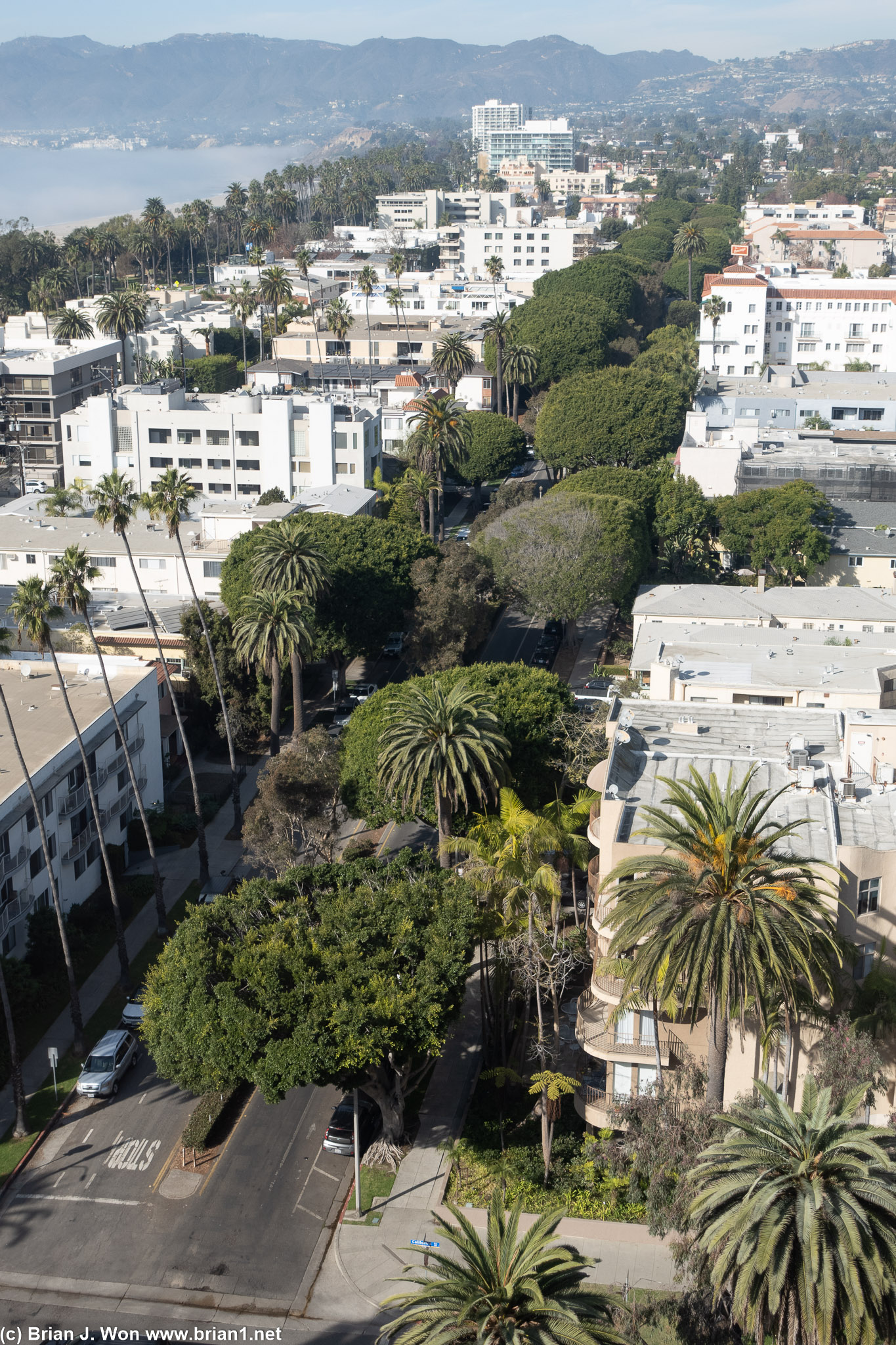 View from The Penthouse at the Huntley Hotel.