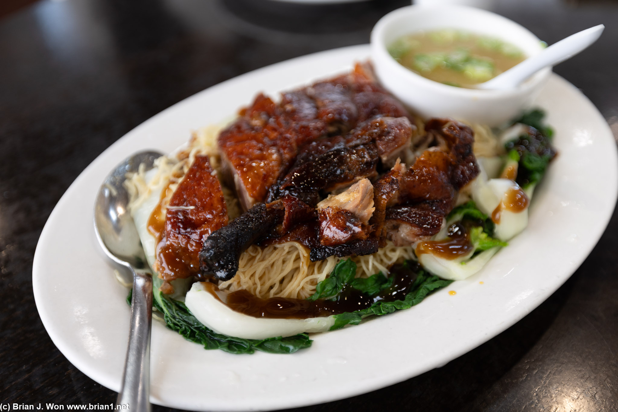 Sam Woo Village's roast duck noodle. Too salty.