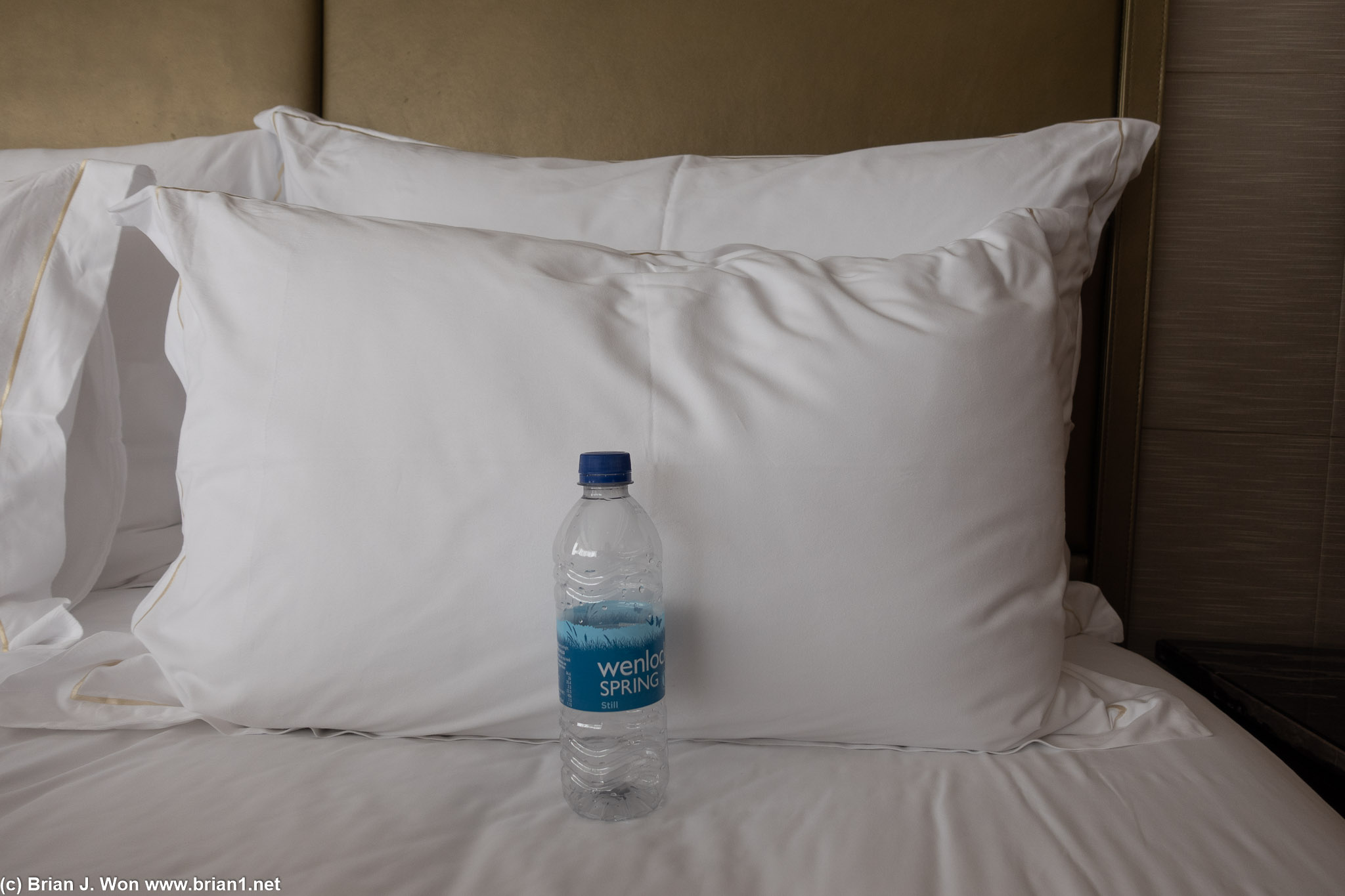 Just noticed the rear pillows at the Ritz-Carlton are massive.