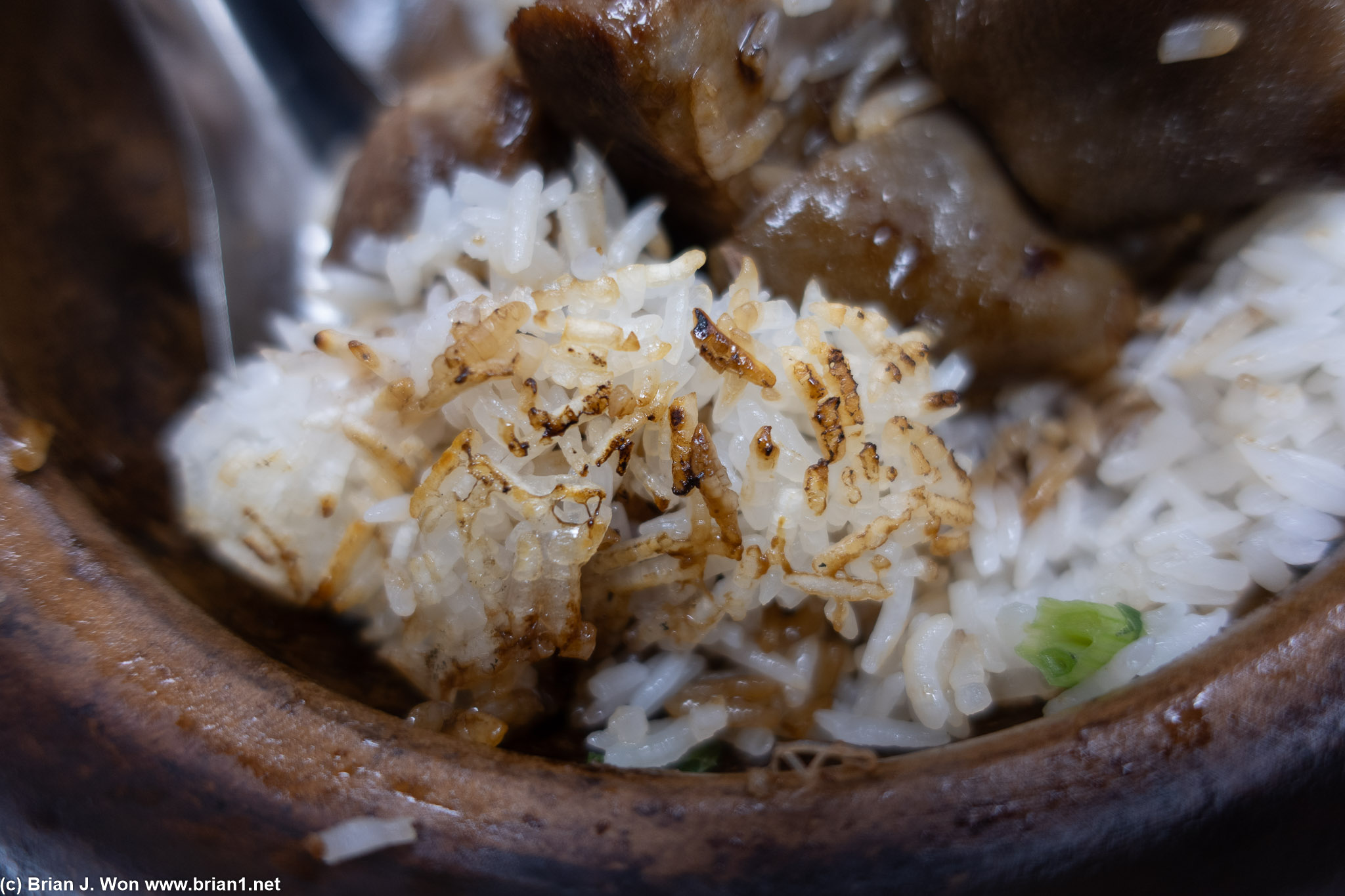 Crispy rice at bottom.