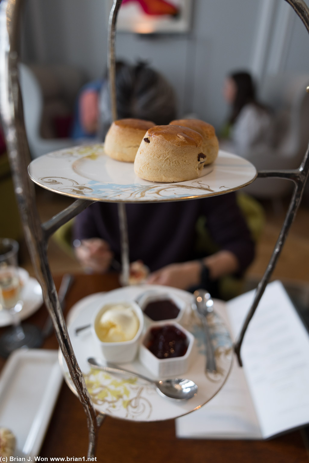Scones, plain and raisin, with clotted cream and jam.