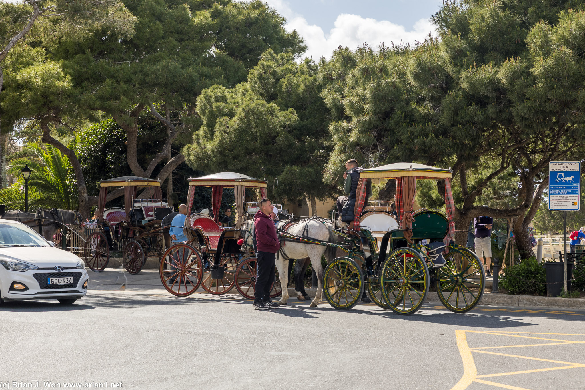 Lots of carriages for tourists.