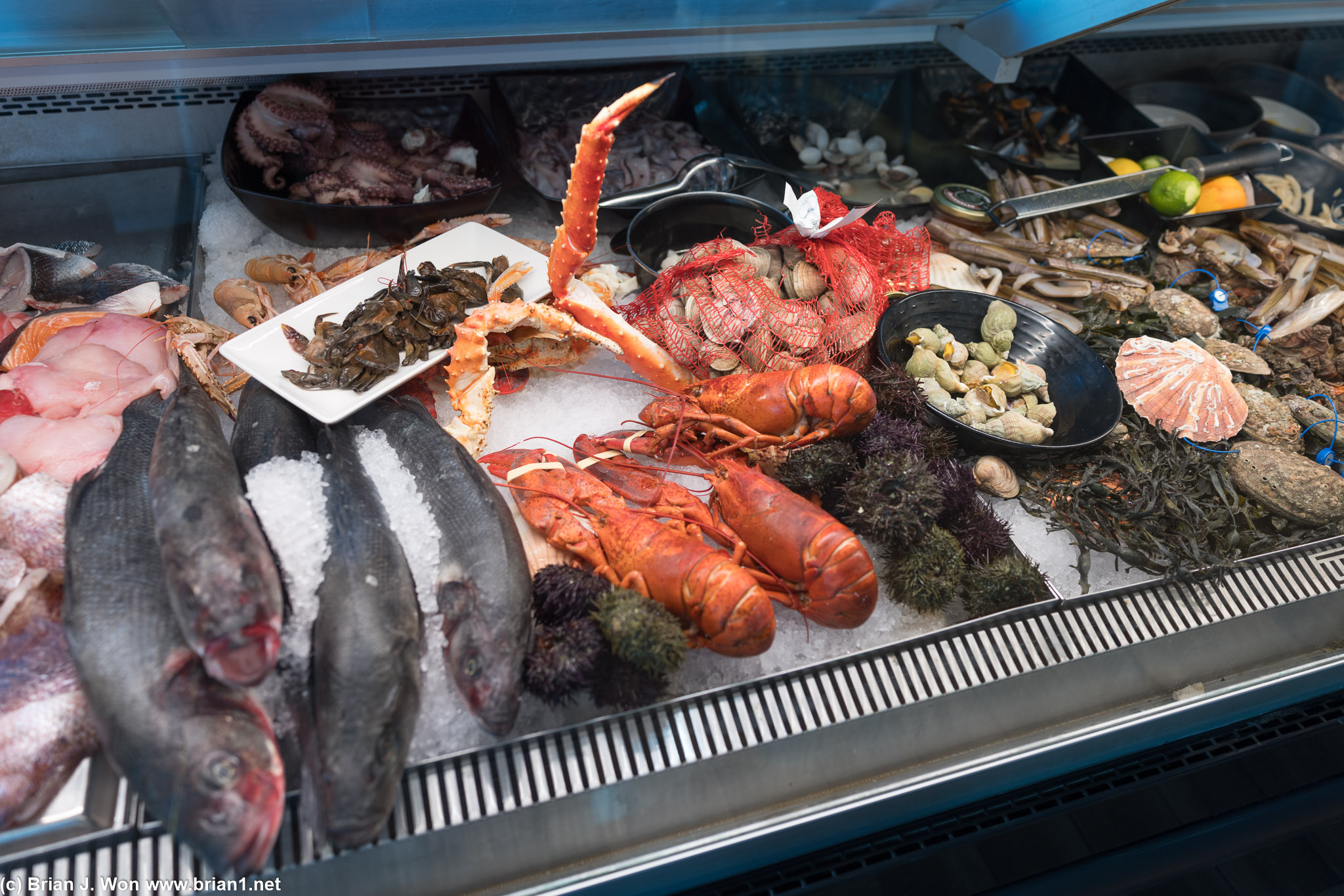The seafood case.