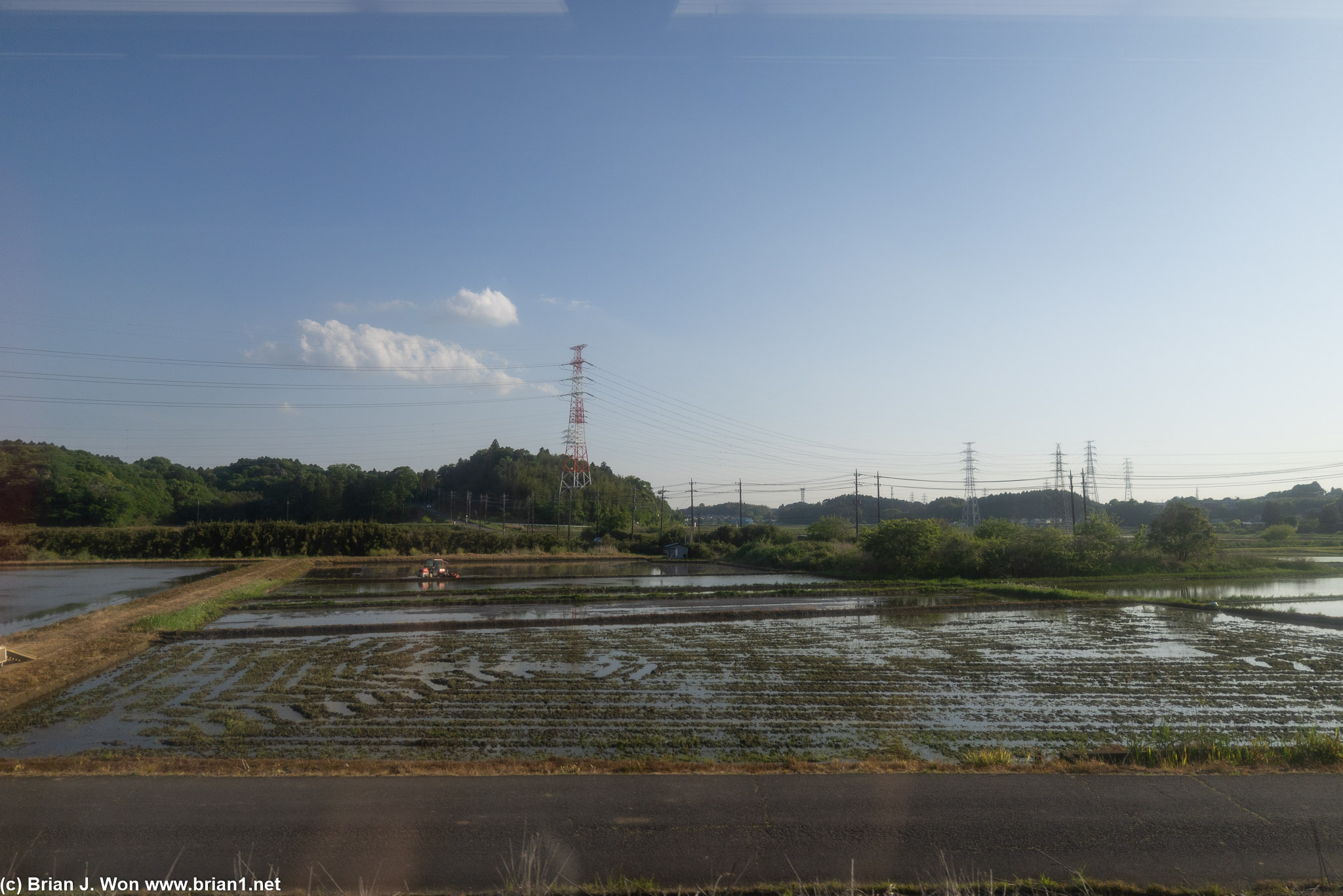 Rice paddies as seen from the Narita Airport Express.