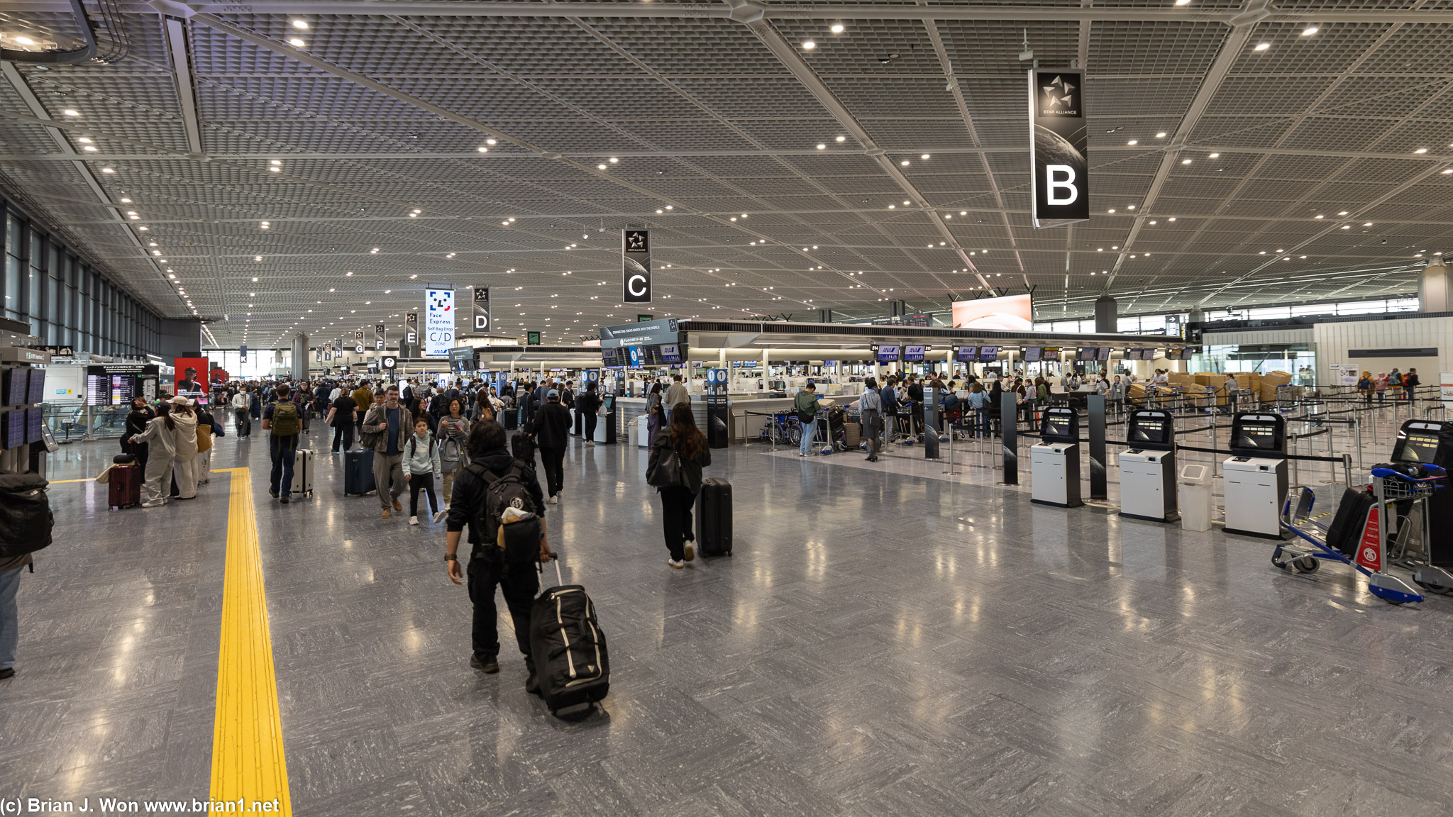 Terminal 1 check-in areas at Narita International Airport.