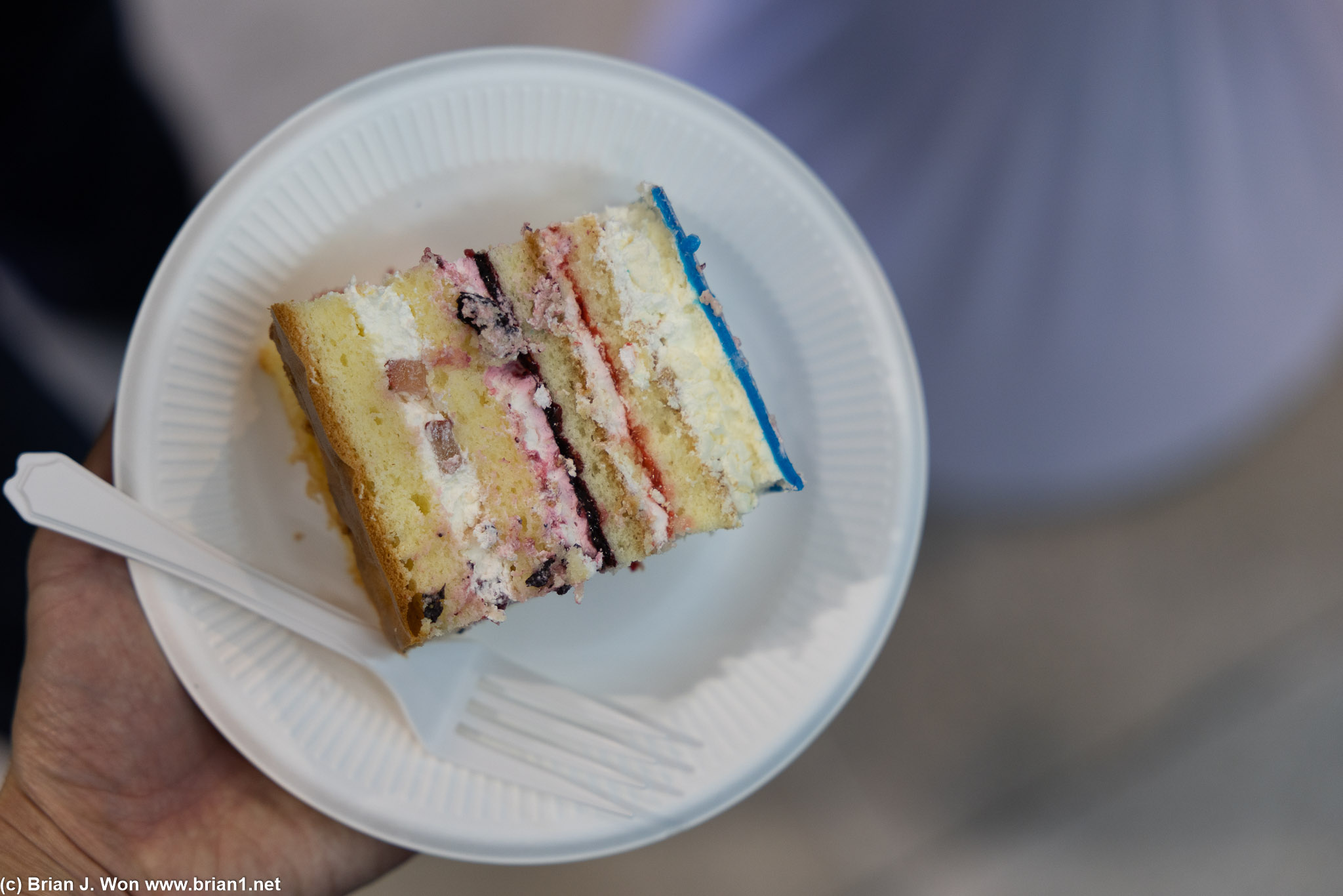 Inaugural flight cake.