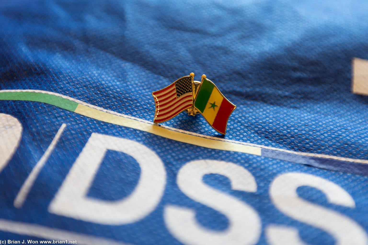 Flag pin close-up.